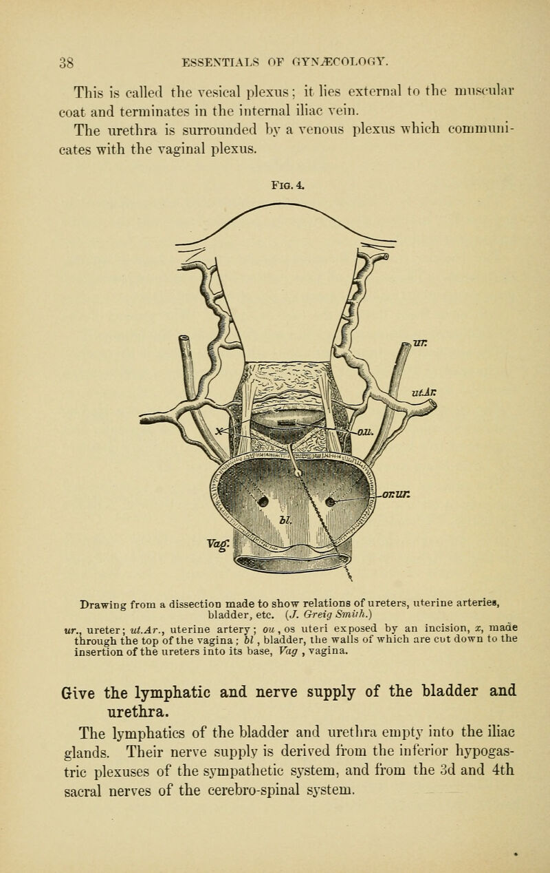 This is called the vesical plexus; it lies external to the niuscnlar coat and terminates in the internal iliac vein. The urethra is surrounded by a venous plexus which communi- cates with the vaginal plexus. Fio.4. Drawing from a dissection made to show relations of ureters, uterine arteries, bladder, etc. (J. Greig S'/nirh.) ur., ureter; ut.Ar., uterine artery; om , os uteri exposed by an incision, x, made through the top of the vagina ; bl , bladder, the walls of which are cut down to the insertion of the ureters into its base, Vag , vagina. Give the lymphatic and nerve supply of the bladder and urethra. The lymphatics of the bladder and urethra empty into the iliac glands. Their nerve supply is derived from the inferior hypogas- tric plexuses of the sympathetic system, and from the 3d and 4th sacral nerves of the cerebro-spinal system.