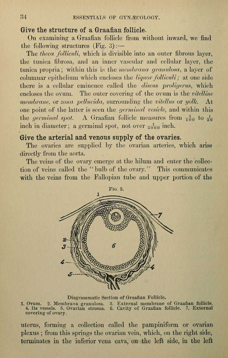Give the structure of a Graafian follicle. On examining a Graafian follicle from without inward, we find the following structures (Fig. 3):— The theca folliculi, which is divisible into an outer fibrous layer, the tunica fibrosa, and an inner vascular and cellular layer, the tunica propria; within this is the membrana granulosa, a layer of columnar epithelium which encloses the liquor foiliculi; at one side there is a cellular eminence called the discus proligerus, which encloses the ovum. The outer covering of the ovum is the vitelline membrane, or zona pellucida, surrounding the vitellus or yolk. At one point of the latter is seen the germinal vesicle, and within this the germinal spot. A Graafian follicle measures from xio to 2V inch in diameter; a germinal spot, not over 3^00 inch. Give the arterial and venous supply of the ovaries. The ovaries are supplied by the ovarian arteries, which arise directly from the aorta. The veins of the ovary emerge at the hilum and enter the collec- tion of veins called the bulb of the ovary. This communicates with the veins from the Fallopian tube and upper portion of the Diagrammatic Section of Graafian Follicle. 1. Ovum. 2. Membrana granulosa. 3. External membrane of Graafian follicle. 4. Its vessels. 5. Ovarian stroma. 6. Cavity of Graafian follicle. 7. External covering of ovary. uterus, forming a collection called the pampiniform or ovarian plexus ; from this springs the ovarian vein, which, on the right side, terminates in the inferior vena cava, on the left side, in the left
