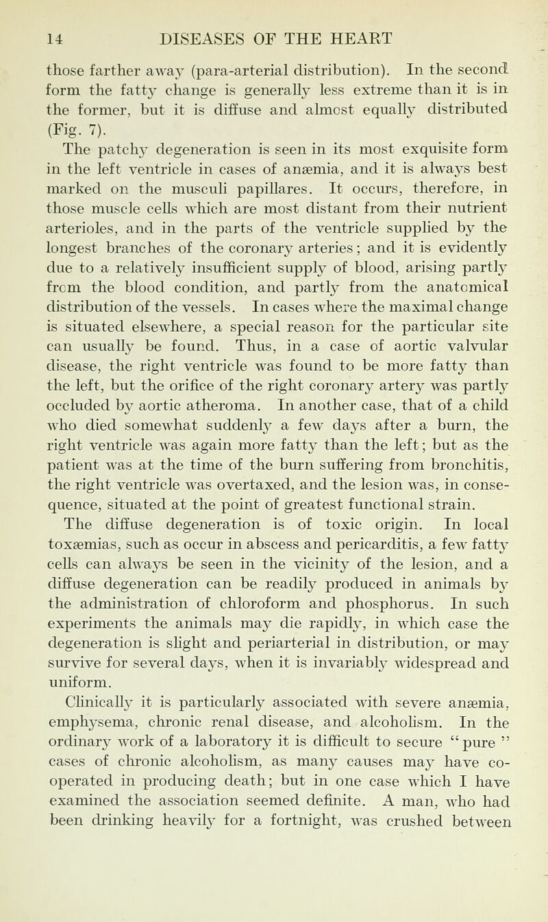 those farther awaj' (para-arterial distribution). In the second form the fatty change is generally less extreme than it is in the former, but it is diffuse and almost equally distributed (Fig. 7). The patchy degeneration is seen in its most exquisite form in the left ventricle in cases of anaemia, and it is always best marked on the musculi papiUares. It occurs, therefore, in those muscle cells which are most distant from their nutrient arterioles, and in the parts of the ventricle supplied by the longest branches of the coronary arteries; and it is evidently due to a relatively insufficient supply of blood, arising partly from the blood condition, and partly from the anatomical distribution of the vessels. In cases where the maximal change is situated elsewhere, a special reason for the particular site can usually be found. Thus, in a case of aortic valvular disease, the right ventricle was found to be more fatty than the left, but the orifice of the right coronary artery was partly occluded by aortic atheroma. In another case, that of a child who died somewhat suddenly a few days after a burn, the right ventricle was again more fatty than the left; but as the patient was at the time of the burn suffering from bronchitis, the right ventricle was overtaxed, and the lesion was, in conse- quence, situated at the point of greatest functional strain. The diffuse degeneration is of toxic origin. In local toxaemias, such as occur in abscess and pericarditis, a few fatty cells can always be seen in the vicinity of the lesion, and a diffuse degeneration can be readily produced in animals by the administration of chloroform and phosphorus. In such experiments the animals may die rapidly, in which case the degeneration is slight and periarterial in distribution, or may survive for several days, when it is invariably widespread and uniform. CUnically it is particularly associated with severe anaemia, emphj^sema, chronic renal disease, and alcoholism. In the ordinary work of a laboratory it is difficult to secure pure  cases of chronic alcoholism, as many causes may have co- operated in producing death; but in one case which I have examined the association seemed definite. A man, who had been drinking heavily for a fortnight, was crushed between