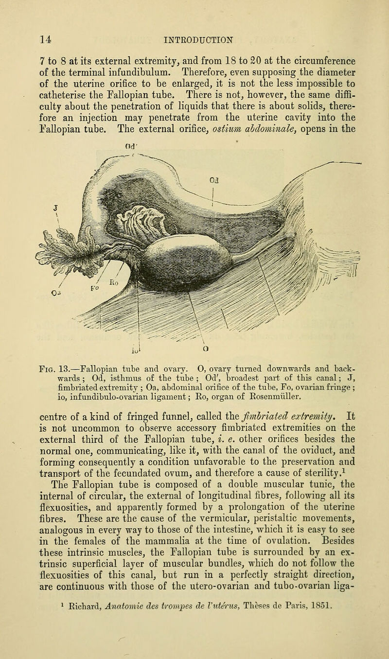 7 to 8 at its external extremity, and from 18 to 20 at the circumference of the terminal infundibulum. Therefore, even supposing the diameter of the uterine orifice to be enlarged, it is not the less impossible to catheterise the Fallopian tube. There is not, however, the same diffi- culty about the penetration of liquids that there is about solids, there- fore an injection may penetrate from the uterine cavity into the IVllopian tube. The external orifice, ostium abdominale, opens in the Fig. 13.—Fallopian tube and ovary. 0, ovary turned downwards and back- wards ; Od, isthmus of the tube ; Od', broadest part of this canal; J, fimbriated extremity ; Oa, abdominal orifice of the tube, Fo, ovarian fringe ; io, infundibulo-ovarian ligament; Ro, organ of Eosenmiiller. centre of a kind of fringed funnel, called the fimhriated extremity. It is not uncommon to observe accessory fimbriated extremities on the external third of the Pallopian tube, i. e. other orifices besides the normal one, communicating, like it, with the canal of the oviduct, and forming consequently a condition unfavorable to the preservation and transport of the fecundated ovum, and therefore a cause of sterility.^ The Fallopian tube is composed of a double muscular tunic, the internal of circular, the external of longitudinal fibres, following all its flexuosities, and apparently formed by a prolongation of the uterine fibres. These are the cause of the vermicular, peristaltic movements, analogous in every way to those of the intestine, which it is easy to see in the females of the mammalia at the time of ovulation. Besides these intrinsic muscles, the Fallopian tube is surrounded by an ex- trinsic superficial layer of muscular bundles, which do not follow the flexuosities of this canal, but run in a perfectly straight direction, are continuous with those of the utero-ovarian and tubo-ovarian liga- * Richard, Anatomie cles trompes cle Vuterus, Theses de Paris, 1851.