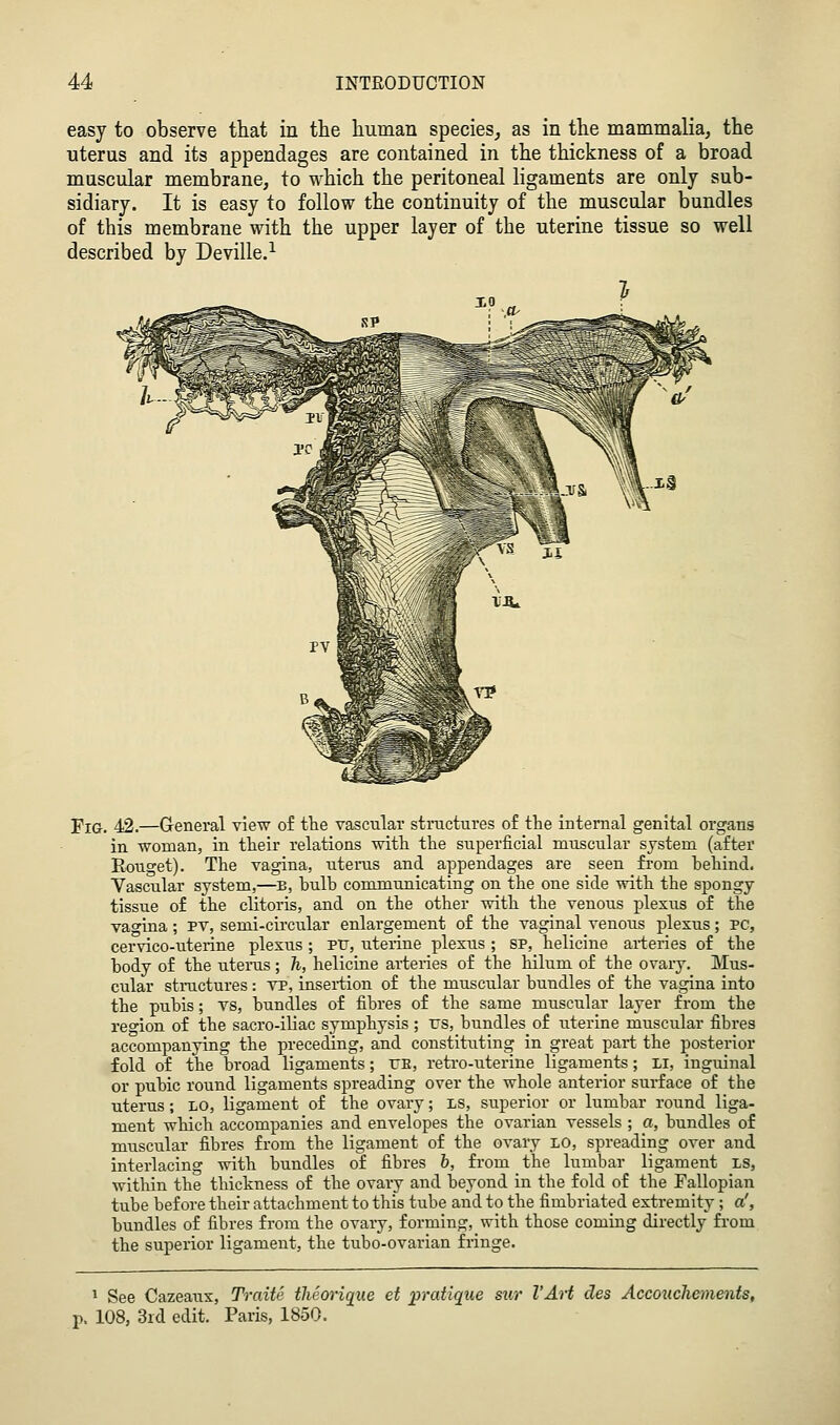 easy to observe that in the human species, as in the mammalia, the uterus and its appendages are contained in the thickness of a broad muscular membrane; to which the peritoneal hgaments are only sub- sidiary. It is easy to follow the continuity of the muscular bundles of this membrane with the upper layer of the uterine tissue so well described by Deville.^ Fig. 42.—G-eneral view of the vascular structures of the internal genital organs in woman, in their relations with the superficial muscular system (after Eouget). The vagina, uteras and appendages are seen from behind. Vascular system,—b, bulb communicating on the one side with the spongy tissue of the clitoris, and on the other with the venous plexus of tlie vagina; PV, semi-circular enlargement of the vaginal venous plexus; PC, cervico-uterine plexus ; pit, uterine plexus ; SP, helicine arteries of the body of the uterus; h, heliciae arteiies of the hilum of the ovary. Mus- cular stractures : vp, insertion of the muscular bundles of the vagina into the pubis; vs, bundles of fibres of the same muscular layer from the region of the sacro-iliac symphysis ; rs, bundles of iiterine muscular fibres accompanying the preceding, and constituting in great part the posterior fold of the broad ligaments; rn, retro-uterine ligaments; Li, inguinal or pubic round ligaments spreading over the whole anterior surface of the uterus ; LO, ligament of the ovary; LS, superior or lumbar round liga- ment which accompanies and envelopes the ovarian vessels ; a, bundles of muscular fibres from the ligament of the ovary LO, spreading over and interlacing with bundles of fibres b, from the lumbar ligament LS, within the thickness of the ovary and beyond in the fold of the Fallopian tube before their attachment to this tube and to the fimbriated extremity ; a', bundles of fibres from the ovary, forming, with those coming directly from the superior ligament, the tubo-ovarian fringe. ^ See Cazeaux, Traite theorique et pratique swr I'Art des Accouchenients, p, 108, 3id edit. Paris, 1850.