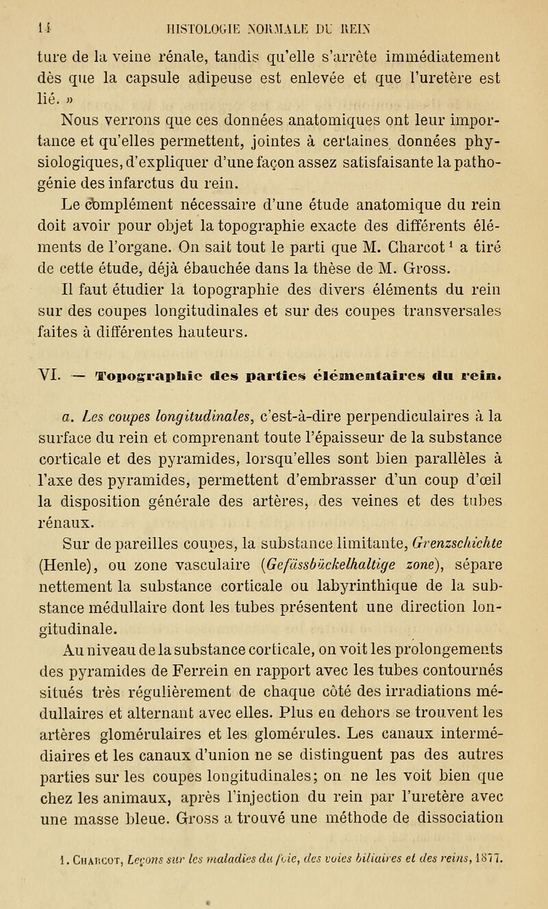 ture de la veine rénale, tandis qu'elle s'arrête immédiatement dès que la capsule adipeuse est enlevée et que l'uretère est lié. » Nous verrons que ces données anatomiques ont leur impor- tance et qu'elles permettent, jointes à certaines données phy- siologiques, d'expliquer d'une façon assez satisfaisante la patho- génie des infarctus du rein. Le complément nécessaire d'une étude anatomique du rein doit avoir pour objet la topographie exacte des différents élé- ments de l'organe. On sait tout le parti que M. Gharcot ' a tiré de cette étude, déjà ébauchée dans la thèse de M. Gross. Il faut étudier la topographie des divers éléments du rein sur des coupes longitudinales et sur des coupes transversales faites à différentes hauteurs. VI. — Topographie des parties élémentaires du rein. a. Les coupes longitudinales, c'est-à-dire perpendiculaires à la surface du rein et comprenant toute l'épaisseur de la substance corticale et des pyramides, lorsqu'elles sont bien parallèles à l'axe des pyramides, permettent d'embrasser d'un coup d'œil la disposition générale des artères, des veines et des tubes rénaux. Sur de pareilles coupes, la substance limitante, Grenzschichte (Henle), ou zone vasculaire (Gefdssbûckelkaltige zone), sépare nettement la substance corticale ou labyrinthique de la sub- stance médullaire dont les tubes présentent une direction lon- gitudinale. Au niveau de la substance corticale, on voit les prolongements des pyramides de Ferrein en rapport avec les tubes contournés situés très régulièrement de chaque côté des irradiations mé- dullaires et alternant avec elles. Plus en dehors se trouvent les artères glomérulaires et les glomérules. Les canaux intermé- diaires et les canaux d'union ne se distinguent pas des autres parties sur les coupes longitudinales; on ne les voit bien que chez les animaux, après l'injection du rein par l'uretère avec une masse bleue. Gross a trouvé une méthode de dissociation 1. CiiAi'.cor, Leçons sur les maladies du /lie, des voies biliaires et des reins, 1877.