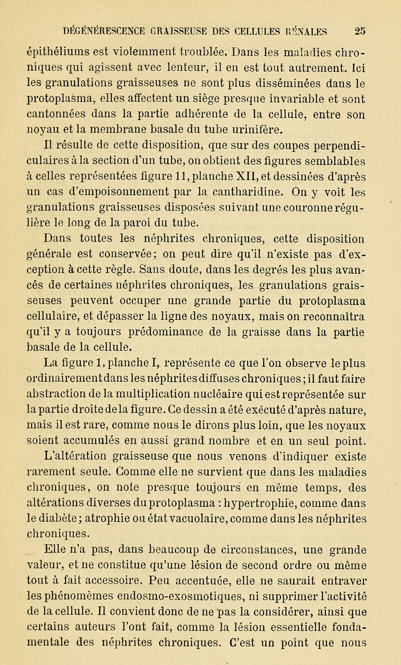 épithéliums est violemment troublée. Dans les maladies chro- niques qui agissent avec lenteur, il en est tout autrement. Ici les granulations graisseuses ne sont plus disséminées dans le protoplasma, elles affectent un siège presque invariable et sont cantonnées dans la partie adhérente de la cellule, entre son noyau et la membrane basale du tube urinifère. Il résulte de cette disposition, que sur des coupes perpendi- culaires à la section d'un tube, on obtient des figures semblables à celles représentées figure 11, planche XII, et dessinées d'après un cas d'empoisonnement par la cantharidine. On y voit les granulations graisseuses disposées suivant une couronne régu- lière le long de la paroi du tube. Dans toutes les néphrites chroniques, cette disposition générale est conservée; on peut dire qu'il n'existe pas d'ex- ception à cette règle. Sans doute, dans les degrés les plus avan- cés de certaines néphrites chroniques, les granulations grais- seuses peuvent occuper une grande partie du protoplasma cellulaire, et dépasser la ligne des noyaux, mais on reconnaîtra qu'il y a toujours prédominance de la graisse dans la partie basale de la cellule. La figure 1, planche I, représente ce que l'on observe le plus ordinairement dans les néphrites diffuses chroniques ; il faut faire abstraction de la multiplication nucléaire qui est représentée sur la partie droite delà figure. Ce dessin a été exécuté d'après nature, mais il est rare, comme nous le dirons plus loin, que les noyaux soient accumulés en aussi grand nombre et en un seul point. L'altération graisseuse que nous venons d'indiquer existe rarement seule. Gomme elle ne survient que dans les maladies chroniques, on note presque toujours en même temps, des altérations diverses du protoplasma : hypertrophie, comme dans le diabète ; atrophie ou état vacuolaire, comme dans les néphrites chroniques. Elle n'a pas, dans beaucoup de circonstances, une grande valeur, et ne constitue qu'une lésion de second ordre ou même tout à fait accessoire. Peu accentuée, elle ne saurait entraver les phénomèmes endosmo-exosmotiques, ni supprimer l'activité de la cellule. Il convient donc de ne pas la considérer, ainsi que certains auteurs l'ont fait, comme la lésion essentielle fonda- mentale des néphrites chroniques. C'est un point que nous