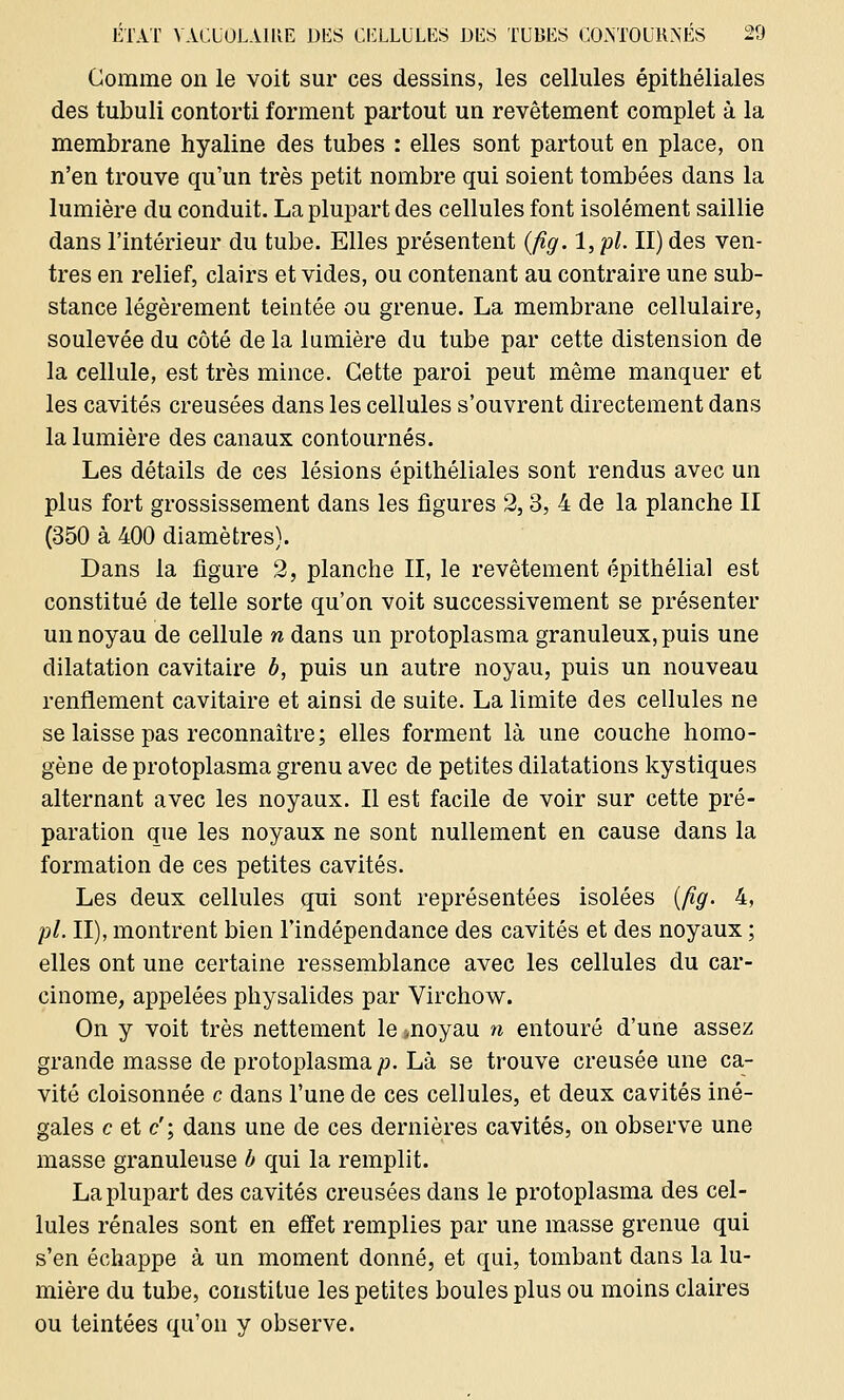 Comme on le voit sur ces dessins, les cellules épithéliales des tubuli contorti forment partout un revêtement complet à la membrane hyaline des tubes : elles sont partout en place, on n'en trouve qu'un très petit nombre qui soient tombées dans la lumière du conduit. La plupart des cellules font isolément saillie dans l'intérieur du tube. Elles présentent (fig. 1, pi. II) des ven- tres en relief, clairs et vides, ou contenant au contraire une sub- stance légèrement teintée ou grenue. La membrane cellulaire, soulevée du côté de la lumière du tube par cette distension de la cellule, est très mince. Cette paroi peut même manquer et les cavités creusées dans les cellules s'ouvrent directement dans la lumière des canaux contournés. Les détails de ces lésions épithéliales sont rendus avec un plus fort grossissement dans les figures 2,3, 4 de la planche II (350 à 400 diamètres). Dans la figure 2, planche II, le revêtement épithélial est constitué de telle sorte qu'on voit successivement se présenter un noyau de cellule n dans un protoplasma granuleux, puis une dilatation cavitaire b, puis un autre noyau, puis un nouveau renflement cavitaire et ainsi de suite. La limite des cellules ne se laisse pas reconnaître; elles forment là une couche homo- gène de protoplasma grenu avec de petites dilatations kystiques alternant avec les noyaux. Il est facile de voir sur cette pré- paration que les noyaux ne sont nullement en cause dans la formation de ces petites cavités. Les deux cellules qui sont représentées isolées (fig. 4, pi. II), montrent bien l'indépendance des cavités et des noyaux ; elles ont une certaine ressemblance avec les cellules du car- cinome, appelées physalides par Virchow. On y voit très nettement le jnoyau n entouré d'une assez grande masse de protoplasma/?. Là se trouve creusée une ca- vité cloisonnée c dans l'une de ces cellules, et deux cavités iné- gales c et c'; dans une de ces dernières cavités, on observe une masse granuleuse b qui la remplit. La plupart des cavités creusées dans le protoplasma des cel- lules rénales sont en effet remplies par une masse grenue qui s'en échappe à un moment donné, et qui, tombant dans la lu- mière du tube, constitue les petites boules plus ou moins claires ou teintées qu'on y observe.