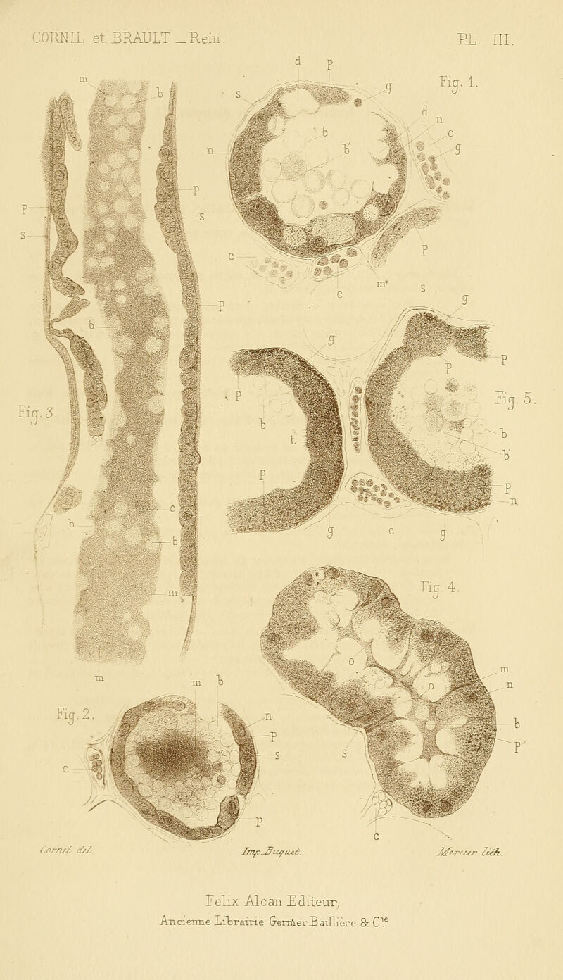 Fiq. 1. 5^; : , - Fig.3. - ■ i-'-'v5^ L Hq. 4. là .m Fier. 2 Cornil diZ C Afvrc-ur IM,. Félix Aie an Editeur, Ancienne liDrairie Gerrûer.Bailli ère & C1:6