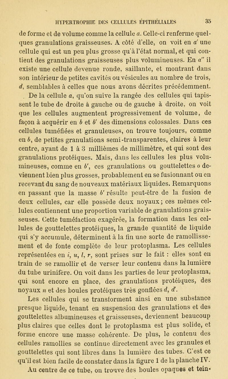 de forme et de volume comme la cellule a. Celle-ci renferme quel- ques granulations graisseuses. À côté d'elle, on voit en a' une cellule qui est un peu plus grosse qu'à l'état normal, et qui con- tient des granulations graisseuses plus volumineuses. En a il existe une cellule devenue ronde, saillante, et montrant dans son intérieur de petites cavités ou vésicules au nombre de trois, d, semblables à celles que nous avons décrites précédemment. De la cellule a, qu'on suive la rangée des cellules qui tapis- sent le tube de droite à gauche ou de gauche à droite, on voit que les cellules augmentent progressivement de volume, de façon à acquérir en b et b' des dimensions colossales. Dans ces cellules tuméfiées et granuleuses, on trouve toujours, comme en é, de petites granulations semi-transparentes, claires à leur centre, ayant de 1 à 3 millièmes de millimètre, et qui sont des granulations protéiques. Mais, dans les cellules les plus volu- mineuses, comme en b', ces granulations ou gouttelettes o de- viennent bien plus grosses, probablement en se fusionnant ou en recevant du sang de nouveaux matériaux liquides. Remarquons en passant que la masse b' résulte peut-être de la fusion de deux cellules, car elle possède deux noyaux; ces mêmes cel- lules contiennent une proportion variable de granulations grais- seuses. Cette tuméfaction exagérée, la formation dans les cel- lules de gouttelettes protéiques, la grande quantité de liquide qui s'y accumule, déterminent à la fin une sorte de ramollisse- ment et de fonte complète de leur protoplasma. Les cellules représentées en i, u, I, r, sont prises sur le fait : elles sont en train de se ramollir et de verser leur contenu dans la lumière du tube urinifère. On voit dans les parties de leur protoplasma, qui sont encore en place, des granulations protéiques, des noyaux n et des boules protéiques très gonflées d, d'. Les cellules qui se transforment ainsi en une substance presque liquide, tenant en suspension des granulations et des gouttelettes albumineuses et graisseuses, deviennent beaucoup plus claires que celles dont le protoplasma est plus solide, et forme encore une masse cohérente. De plus, le contenu des cellules ramollies se continue directement avec les granules et gouttelettes qui sont libres dans la lumière des tubes. C'est ce qu'il est bien facile de constater dans la figure 1 de la planche IV. Au centre de ce tube, on trouve des boules opaques et tein»