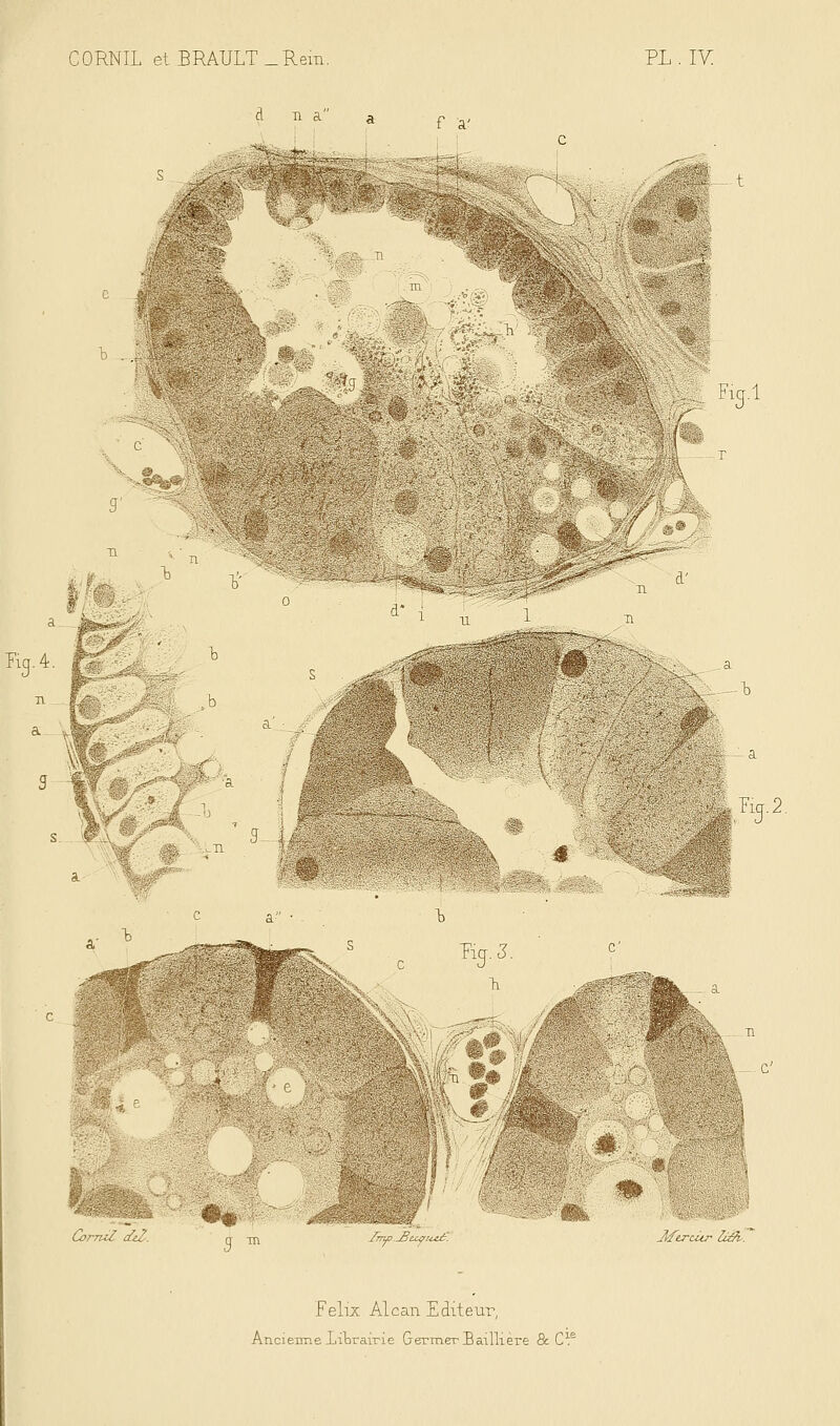 cl n a à»,. f a' - i ■ 3' m '%^ Fig.l %4' I .<„, /i --T1 M m FïcpJ. h ïïg.2. CorruZ deZ. Inw. ^Buyr-ccâ'. 3ftrcitr Zi&u. Félix Alcan Editeur, Ancienne librairie Germer Bailli ère 8c C^