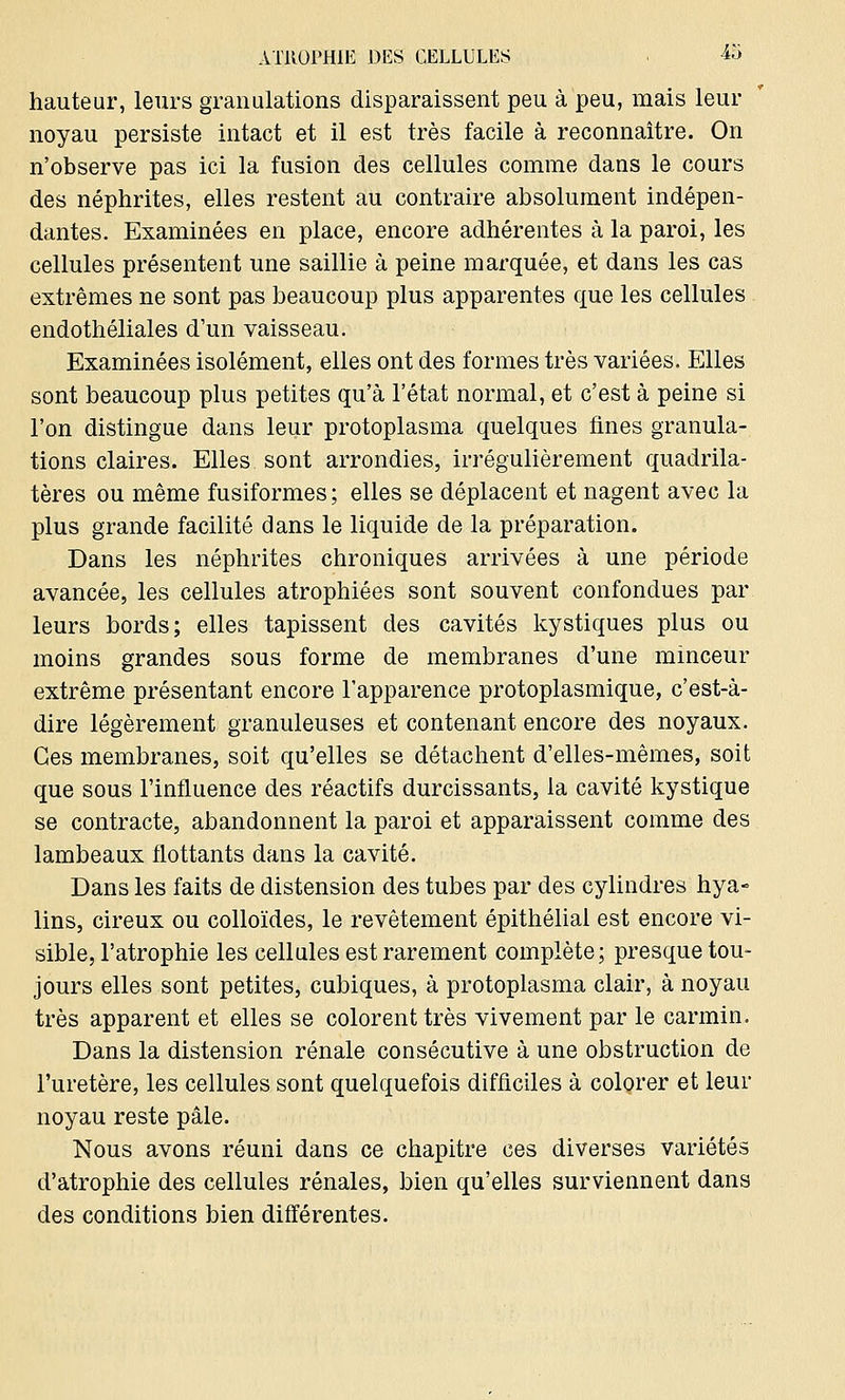 hauteur, leurs granulations disparaissent peu à peu, mais leur noyau persiste intact et il est très facile à reconnaître. On n'observe pas ici la fusion des cellules comme dans le cours des néphrites, elles restent au contraire absolument indépen- dantes. Examinées en place, encore adhérentes à la paroi, les cellules présentent une saillie à peine marquée, et dans les cas extrêmes ne sont pas beaucoup plus apparentes que les cellules endothéliales d'un vaisseau. Examinées isolément, elles ont des formes très variées. Elles sont beaucoup plus petites qu'à l'état normal, et c'est à peine si l'on distingue dans leur protoplasma quelques fines granula- tions claires. Elles sont arrondies, irrégulièrement quadrila- tères ou même fusiformes; elles se déplacent et nagent avec la plus grande facilité dans le liquide de la préparation. Dans les néphrites chroniques arrivées à une période avancée, les cellules atrophiées sont souvent confondues par leurs bords; elles tapissent des cavités kystiques plus ou moins grandes sous forme de membranes d'une minceur extrême présentant encore l'apparence protoplasmique, c'est-à- dire légèrement granuleuses et contenant encore des noyaux. Ces membranes, soit qu'elles se détachent d'elles-mêmes, soit que sous l'influence des réactifs durcissants, la cavité kystique se contracte, abandonnent la paroi et apparaissent comme des lambeaux flottants dans la cavité. Dans les faits de distension des tubes par des cylindres hya- lins, cireux ou colloïdes, le revêtement épithélial est encore vi- sible, l'atrophie les cellules est rarement complète; presque tou- jours elles sont petites, cubiques, à protoplasma clair, à noyau très apparent et elles se colorent très vivement par le carmin. Dans la distension rénale consécutive à une obstruction de l'uretère, les cellules sont quelquefois difficiles à colorer et leur noyau reste pâle. Nous avons réuni dans ce chapitre ces diverses variétés d'atrophie des cellules rénales, bien qu'elles surviennent dans des conditions bien différentes.