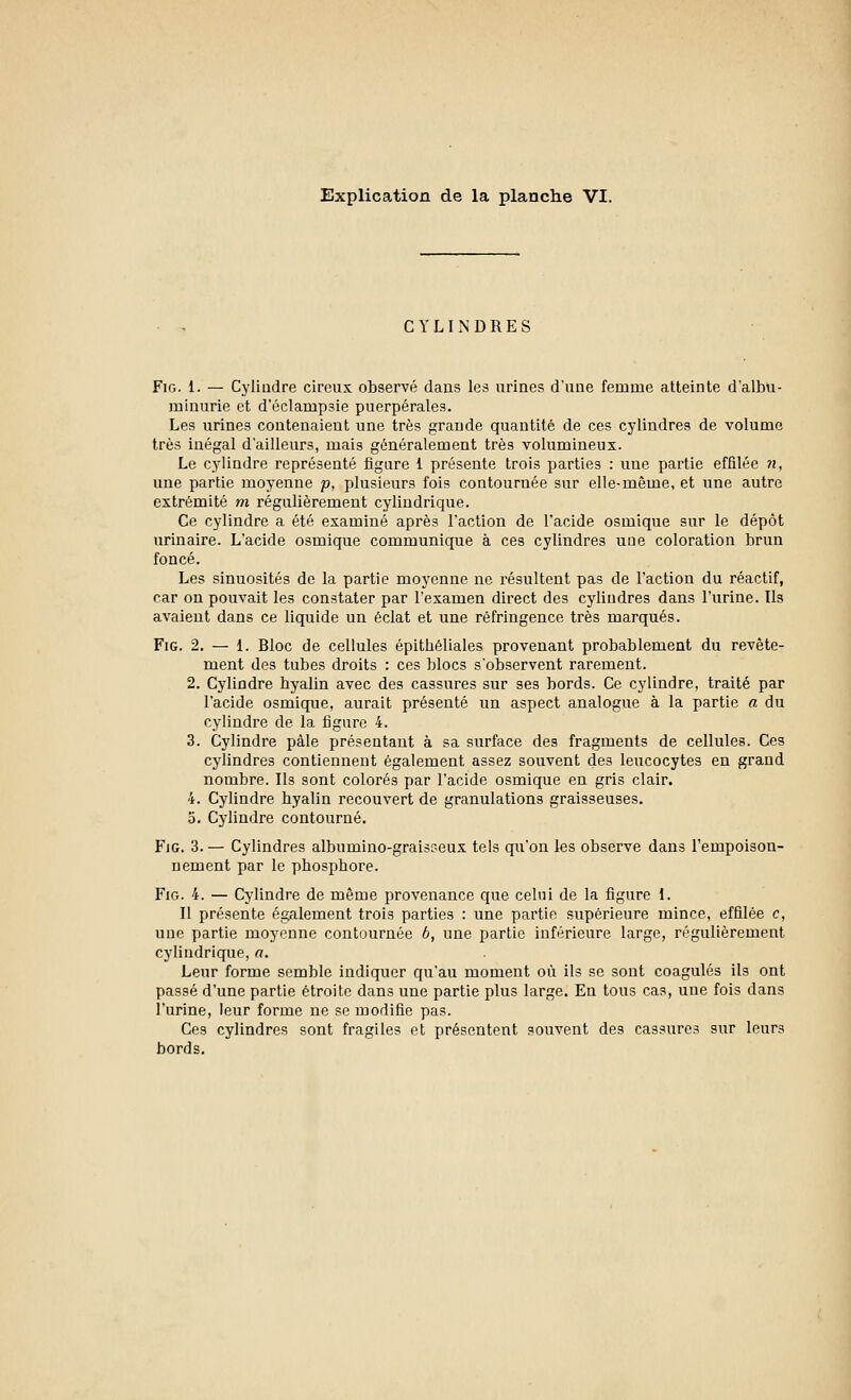 Explication de la planche VI. CYLINDRES Fig. 1. — Cylindre cireux observé dans les urines d'une femme atteinte d'albu- minurie et d'éclampsie puerpérales. Les urines contenaient une très grande quantité de ces cylindres de volume très inégal d'ailleurs, mais généralement très volumineux. Le cylindre représenté figure 1 présente trois parties : une partie effilée n, une partie moyenne p, plusieurs fois contournée sur elle-même, et une autre extrémité m régulièrement cylindrique. Ce cylindre a été examiné après l'action de l'acide osmique sur le dépôt urinaire. L'acide osmique communique à ces cylindres une coloration brun foncé. Les sinuosités de la partie moyenne ne résultent pas de l'action du réactif, car on pouvait les constater par l'examen direct des cylindres dans l'urine. Ils avaient dans ce liquide un éclat et une réfringence très marqués. Fig. 2. — 1. Bloc de cellules épitbéliales provenant probablement du revête- ment des tubes droits : ces blocs s'observent rarement. 2. Cylindre byalin avec des cassures sur ses bords. Ce cylindre, traité par l'acide osmique, aurait présenté un aspect analogue à la partie a du cylindre de la figure 4. 3. Cylindre pâle présentant à sa surface des fragments de cellules. Ces cylindres contiennent également assez souvent des leucocytes en grand nombre. Ils sont colorés par l'acide osmique en gris clair. 4. Cylindre byalin recouvert de granulations graisseuses. 5. Cylindre contourné. Fig. 3. — Cylindres albumino-graisseux tels qu'on les observe dans l'empoison- nement par le phosphore. Fig. 4. — Cylindre de même provenance que celui de la figure 1. Il présente également trois parties : une partie supérieure mince, effilée c, une partie moyenne contournée b, une partie inférieure large, régulièrement cylindrique, a. Leur forme semble indiquer qu'au moment où ils se sont coagulés ils ont passé d'une partie étroite dans une partie plus large. En tous cas, une fois dans l'urine, leur forme ne se modifie pas. Ces cylindres sont fragiles et présentent souvent des cassures sur leurs bords.