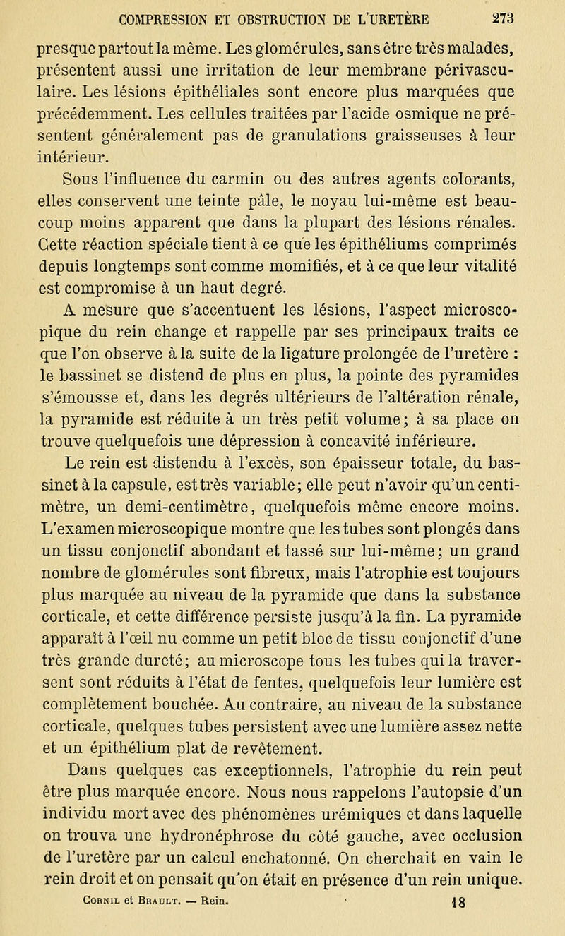 presque partout la même. Les glomérules, sans être très malades, présentent aussi une irritation de leur membrane périvascu- laire. Les lésions épithéliales sont encore plus marquées que précédemment. Les cellules traitées par l'acide osmique ne pré- sentent généralement pas de granulations graisseuses à leur intérieur. Sous l'influence du carmin ou des autres agents colorants, elles conservent une teinte pâle, le noyau lui-même est beau- coup moins apparent que dans la plupart des lésions rénales. Cette réaction spéciale tient à ce que les épithéliums comprimés depuis longtemps sont comme momifiés, et à ce que leur vitalité est compromise à un haut degré. A mesure que s'accentuent les lésions, l'aspect microsco- pique du rein change et rappelle par ses principaux traits ce que l'on observe à la suite de la ligature prolongée de l'uretère : le bassinet se distend de plus en plus, la pointe des pyramides s'émousse et, dans les degrés ultérieurs de l'altération rénale, la pyramide est réduite à un très petit volume ; à sa place on trouve quelquefois une dépression à concavité inférieure. Le rein est distendu à l'excès, son épaisseur totale, du bas- sinet à la capsule, est très variable; elle peut n'avoir qu'un centi- mètre, un demi-centimètre, quelquefois même encore moins. L'examen microscopique montre que les tubes sont plongés dans un tissu conjonctif abondant et tassé sur lui-même; un grand nombre de glomérules sont fibreux, mais l'atrophie est toujours plus marquée au niveau de la pyramide que dans la substance corticale, et cette différence persiste jusqu'à la fin. La pyramide apparaît à l'œil nu comme un petit bloc de tissu conjonctif d'une très grande dureté; au microscope tous les tubes qui la traver- sent sont réduits à l'état de fentes, quelquefois leur lumière est complètement bouchée. Au contraire, au niveau de la substance corticale, quelques tubes persistent avec une lumière assez nette et un épithélium plat de revêtement. Dans quelques cas exceptionnels, l'atrophie du rein peut être plus marquée encore. Nous nous rappelons l'autopsie d'un individu mort avec des phénomènes urémiques et dans laquelle on trouva une hydronéphrose du côté gauche, avec occlusion de l'uretère par un calcul enchatonné. On cherchait en vain le rein droit et on pensait qu'on était en présence d'un rein unique. Cornil et Brault. — Rein. ' {8