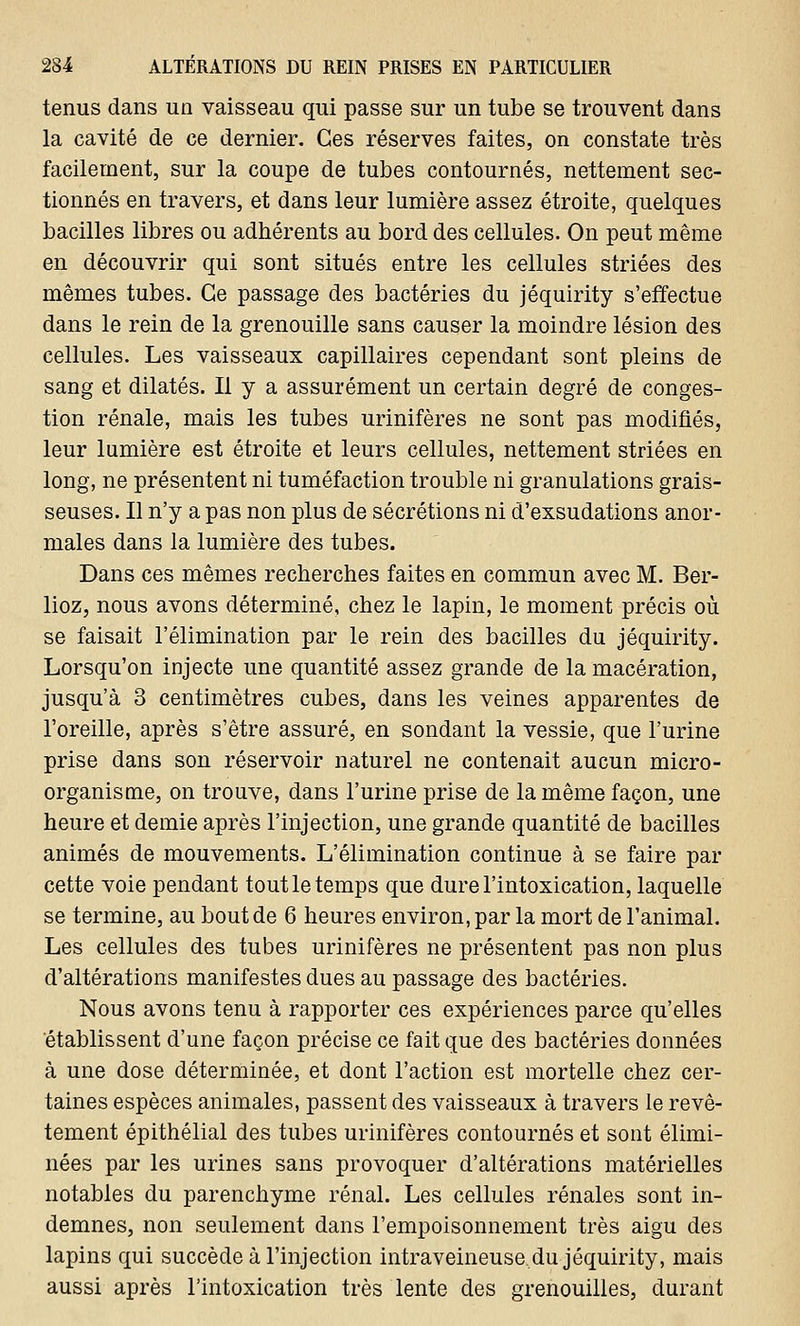 tenus dans un vaisseau qui passe sur un tube se trouvent dans la cavité de ce dernier. Ces réserves faites, on constate très facilement, sur la coupe de tubes contournés, nettement sec- tionnés en travers, et dans leur lumière assez étroite, quelques bacilles libres ou adhérents au bord des cellules. On peut même en découvrir qui sont situés entre les cellules striées des mêmes tubes. Ce passage des bactéries du jéquirity s'effectue dans le rein de la grenouille sans causer la moindre lésion des cellules. Les vaisseaux capillaires cependant sont pleins de sang et dilatés. Il y a assurément un certain degré de conges- tion rénale, mais les tubes urinifères ne sont pas modifiés, leur lumière est étroite et leurs cellules, nettement striées en long, ne présentent ni tuméfaction trouble ni granulations grais- seuses. Il n'y a pas non plus de sécrétions ni d'exsudations anor- males dans la lumière des tubes. Dans ces mêmes recherches faites en commun avec M. Ber- lioz, nous avons déterminé, chez le lapin, le moment précis où se faisait l'élimination par le rein des bacilles du jéquirity. Lorsqu'on injecte une quantité assez grande de la macération, jusqu'à 3 centimètres cubes, dans les veines apparentes de l'oreille, après s'être assuré, en sondant la vessie, que l'urine prise dans son réservoir naturel ne contenait aucun micro- organisme, on trouve, dans l'urine prise de la même façon, une heure et demie après l'injection, une grande quantité de bacilles animés de mouvements. L'élimination continue à se faire par cette voie pendant tout le temps que dure l'intoxication, laquelle se termine, au bout de 6 heures environ, par la mort de l'animal. Les cellules des tubes urinifères ne présentent pas non plus d'altérations manifestes dues au passage des bactéries. Nous avons tenu à rapporter ces expériences parce qu'elles établissent d'une façon précise ce fait que des bactéries données à une dose déterminée, et dont l'action est mortelle chez cer- taines espèces animales, passent des vaisseaux à travers le revê- tement épithélial des tubes urinifères contournés et sont élimi- nées par les urines sans provoquer d'altérations matérielles notables du parenchyme rénal. Les cellules rénales sont in- demnes, non seulement dans l'empoisonnement très aigu des lapins qui succède à l'injection intraveineuse.du jéquirity, mais aussi après l'intoxication très lente des grenouilles, durant