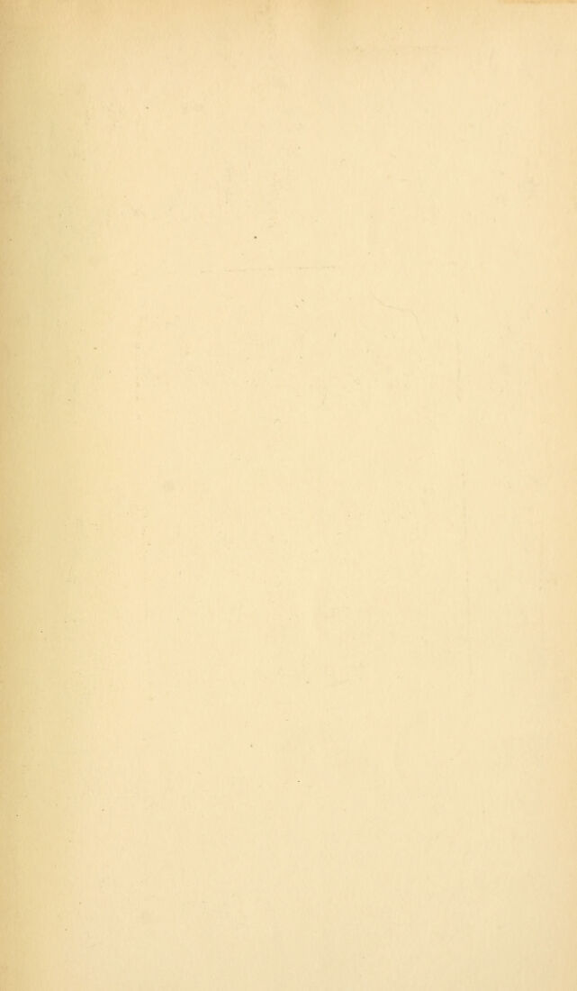 digitised image 3