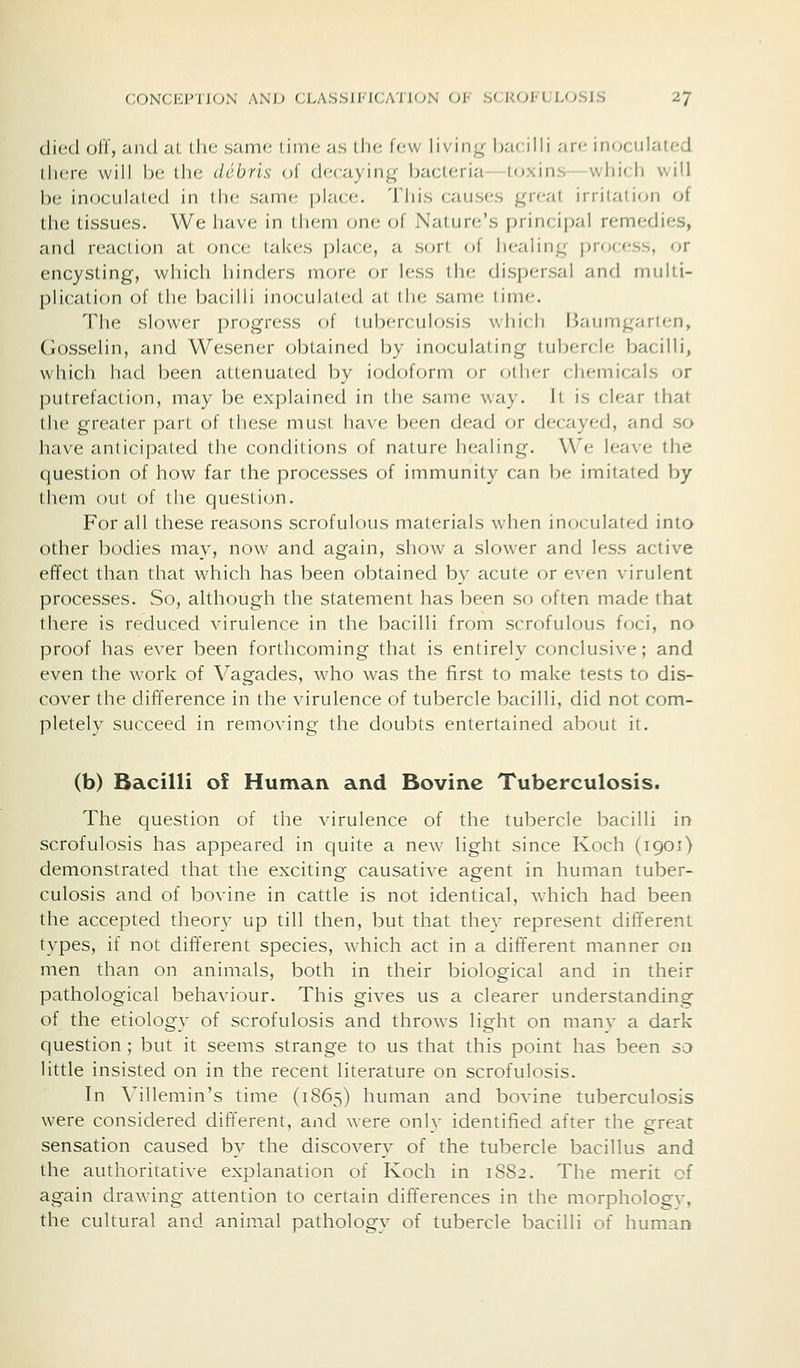 died oil, and aL die same lime as die few living Ixicilli are inoculated there will be the debris of decaying bacteria—toxinswhicii will be inoculated in the sam(; place. This causes great irrilalion of the tissues. We have in them one of Nature's principal remedies, and reaction at once takes place, a sc^rt of healing process, or encysting, which hinders more or less the dispersal and multi- plication of the bacilli inoculat(;d at the same time. The slower progress of tuberculosis which Baumgarten, Gosselin, and Wesener obtained by inoculating tubercle bacilli, which had been attenuated by iodoform or other chemicals or putrefaction, may be explained in tlie same way. It is clear that the greater part of these must have been dead or decayed, and .so have anticipated the conditions of nature healing. We leave the question of how far the processes of immunity can be imitated by them out of the question. For all these reasons scrofulous materials when inoculated into other bodies may, now and again, show a slower and less active effect than that which has been obtained by acute or even virulent processes. So, although the statement has been so often made that there is reduced virulence in the bacilli from scrofulous foci, no proof has ever been forthcoming that is entirely conclusive; and even the work of Vagades, who was the first to make tests to dis- cover the difference in the virulence of tubercle bacilli, did not com- pletely succeed in removing the doubts entertained about it. (b) Bacilli of Human and Bovine Tuberculosis. The question of the virulence of the tubercle bacilli in scrofulosis has appeared in quite a new light since Koch (1901) demonstrated that the exciting causative agent in human tuber- culosis and of bovine in cattle is not identical, which had been the accepted theory up till then, but that they represent different types, if not different species, which act in a different manner on men than on animals, both in their biological and in their pathological behaviour. This gives us a clearer understanding of the etiology of scrofulosis and throws light on many a dark question; but it seems strange to us that this point has been so little insisted on in the recent literature on scrofulosis. In Mllemin's time (1865) human and bovine tuberculosis were considered different, and were only identified after the great sensation caused by the discovery of the tubercle bacillus and the authoritative explanation of Koch in 1882. The merit of again drawing attention to certain differences in the morphologv, the cultural and animal pathologv of tubercle bacilli of human