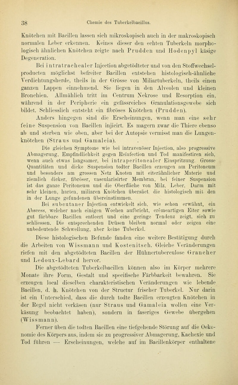 Knötchen mit Bacillea lassen sich, mikroskopisch auch in der makroskopisch normalen Leber erkennen. Keines dieser den echten Tuberkeln morpho- logisch ähnhchen Knötchen zeigte nach Prudden und Hodenpyl käsige Degeneration. Bei intratrachealer Injection abgetödteter und von den Stoffwechsel- producten möglichst befreiter Bacillen entstehen histologisch-ähnliche Verdichtungsherde, theils in der Grösse von Mihartuberkeln, theils einen ganzen Lappen einnehmend. Sie liegen in den Alveolen und kleinen Bronchien. Allmählich tritt im Centrum Xekrose und Eesorption ein. während in der Peripherie ein gefässreiehes Granulationsgewebe sich bildet. Schliesslich entsteht ein fibröses Knötchen (Prudden). Anders hingegen sind die Erscheinungen, wenn man eine sehr feine Suspension von Bacillen injicirt. Es magern zwar die Thiere ebenso ab und sterben wie oben, aber bei der Autopsie vermisst man die Lungen- knötchen (Straus und Gamaleia). Die gleichen Symptome wie bei intravenöser Injection, also progressive Abmagerung, Empfindhchkeit gegen Eeinfeetion und Tod manifestiren sich, wenn auch etwas langsamer, bei intraperitonealer Einspritzung. Grosse Quantitäten und dicke Suspension todter Bacillen erzeugen am Peritoneum und besonders am grossen Netz Knoten mit eiterähnlicher Materie und ziemlich dicker, fibröser, vascularisirter Membran, bei feiner Suspension ist das ganze Peritoneum und die Oberfläche von Milz, Leber, Darm mit sehr kleinen, harten, miliaren Knötchen übersäet, die histologisch mit den in der Lunge gefundenen übereinstimmen. Bei subcutaner Injection entwickelt sich, wie schon erwähnt, ein Abscess, welcher nach einigen Wochen aufbricht, cremeartigen Eiter sowie gut färbbare Bacillen entleert und eine geringe Tendenz zeigt, sich zu schliessen. Die entsprechenden Drüsen bleiben normal oder zeigen eine unbedeutende Schwellung, aber keine Tuberkel. Diese histologischen Befunde fanden eine weitere Bestätigung durch die Arbeiten von Wissmann und Kostenitsch. Gleiche Veränderungen riefen mit den abgetödteten Bacillen der Hühnertuberculose Gran eher und Ledoux-Lebard hervor. Die abgetödteten Tuberkelbacillen können also im Körper mehrere Monate ihre Form, Gestalt und specifische Färbbarkeit bewahren. Sie erzeugen local dieselben charakteristischen Veränderungen wie lebende Bacillen, d. h. Knötchen von der Structur frischer Tubei'kel. Xur darin ist ein L~^nterschied, dass die durch todte Bacillen erzeugten Knötchen in der Eegel nicht verkäsen (nur Straus und Gamaleia wollen eine Ver- käsung beobachtet haben), sondern in faseriges Gewebe übergehen (WiSS mann). Ferner üben die todten Bacillen eine tiefgehende Störung auf die Oekc- nomie des Körpers aus, indem sie zu progressiver Abmagerung, Kachexie und Tod fuhren — Erscheinungen, welche auf im Bacillenkörper enthaltene