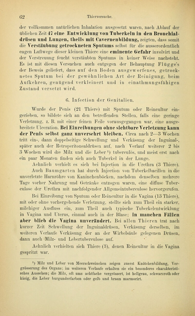 der vollkommen natürlichen Inhalation ausgesetzt waren, nach Ablauf der üblichen Zeit 47 eine Entwicklung Ton Tuberkeln in den Bronchial- drüsen und Lungen, tlieils mit CaYernenl>ildung-, zeigten, dass somit die Verstäubung getrockneten Sputums selbst für die ausserordenthch engen Luftwege dieser kleinen Thiere eine eminente Grefahr involvirt und der Verstreuung feucht verstäubten Sputums in keiner Weise nachsteht. Es ist mit diesen Versuchen auch entgegen der Behauptung Flügge's der Beweis geliefert, dass auf den Boden ausgeworfenes, getrock- netes Sputum bei der gewöhnlichen Art der Eeinigung, beim Aufkehren, genügend verkleinert und in einathmungsfähigen Zustand versetzt wird. 6. Infection der Genitalien. Wurde der Penis (21 Thiere) mit Sputum oder Eeincultur ein- gerieben, so bildete sich an den betreffenden Stellen, falls eine geringe Verletzung, z. B. mit einer feinen Feile vorausgegangen war, eine ausge- breitete Ulceration. Bei Einreibungen oline sichtbare Verletzung kann der Penis selbst ganz unversehrt bleiben. Circa nach 2—3 Wochen tritt ein-, dann doppelseitige Schwellung und Verkäsung der Inguinal-, später auch der Eetroperitonealdrüsen auf, nach Verlauf weiterer 2 bis 3 Wochen wird die Milz und die Leber ^) tuberculös, und meist erst nach ein paar Monaten finden sich auch Tuberkel in der Lunge. Aehnlich verhielt es sich bei Injection in die Urethra (3 Thiere). Auch Baumgarten hat durch Injection von Tuberkelbacillen in die unverletzte Harnröhre von Kaninchenböcken, nachdem denselben mehrere Tage vorher Nahrung und Getränke entzogen waren, eine diffuse Tuber- culose der Urethra mit nachfolgender Allgemeintuberculose hervorgerufen. Bei Einreibung von Sputum oder Eeincultur in die Vagina (13 Thiere), mit oder ohne vorhergehende Verletzung, stellte sich zum Theil ein starker, milchiger Ausfiuss ein, zum Theil auch typische Tuberkelentwicklung in Vagina und Uterus, einmal auch in der Blase; in manchen Fällen aber blieb die Vagina unverändert. Bei allen Thieren trat nach kurzer Zeit Schwellung der Inguinaldrüsen, Verkäsung derselben, im weiteren Verlaufe Verkäsung der an der Wirbelsäule gelegenen Drüsen, dann auch Milz- und Lebertuberculose auf. Aehnlich verhielten sich Thiere (3), denen Eeincultur in die Vagina gespritzt war. ^) Milz und Leber von Meersehweinehen zeigen zuerst Knötehenbildung, Ver- grösserung des Organs; im weiteren Verlaufe erhalten sie ein besonderes charakteristi- sches Aussehen; die Milz, oft ums achtfache vergrössert, ist hellgrau, sehwarzroth oder käsig, die Leber burgunderfarben oder gelb und braun marmorirt.