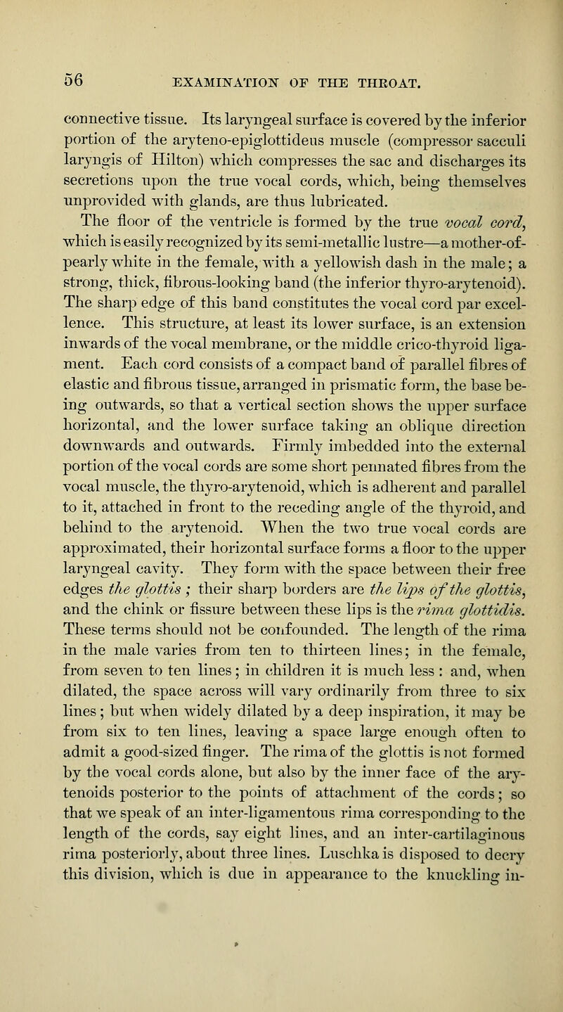 connective tissue. Its laryngeal surface is covered by the inferior portion of the aryteno-epiglottideus muscle (compressor sacculi laryngis of Hilton) which compresses the sac and discharges its secretions npon the true vocal cords, which, being themselves unprovided with glands, are thus lubricated. The floor of the ventricle is formed by the true vocal cord, which is easily recognized by its semi-metallic lustre—a mother-of- pearly white in the female, with a yellowish dash in the male; a strong, thick, flbrous-looking band (the inferior thyro-arytenoid). The sharp edge of this band constitutes the vocal cord par excel- lence. This structure, at least its lower surface, is an extension inwards of the vocal membrane, or the middle crico-thyroid liga- ment. Each cord consists of a compact band of parallel fibres of elastic and fibrous tissue, arranged in prismatic form, the base be- ing outwards, so that a vertical section shows the njDper surface horizontal, and the lower surface taking an oblique direction downwards and outwards. Firmly imbedded into the external portion of the vocal cords are some short pennated fibres from the vocal muscle, the thyro-arytenoid, which is adherent and parallel to it, attached in front to the receding angle of the thyroid, and behind to the arytenoid. When the two true vocal cords are approximated, their horizontal surface forms a floor to the upper laryngeal cavity. They form with the space between their free edges the glottis; their sharp borders are the lij^s of the glottis, and the chink or fissure between these lips is the rima glottidis. These terms should not be confounded. The length of the rima in the male varies from ten to thirteen lines; in the female, from seven to ten lines; in children it is much less : and, when dilated, the space across will vary ordinarily from three to six lines; but when widely dilated by a deep inspiration, it may be from six to ten lines, leaving a space large enough often to admit a good-sized finger. The rima of the glottis is not formed by the vocal cords alone, but also by the inner face of the ary- tenoids posterior to the points of attachment of the cords; so that we speak of an inter-ligamentous rima corresponding to the length of the cords, say eight lines, and an inter-cai-tilaginous rima posteriorly, about three lines. Luschka is disposed to decry this division, which is due in appearance to the knuckling in-