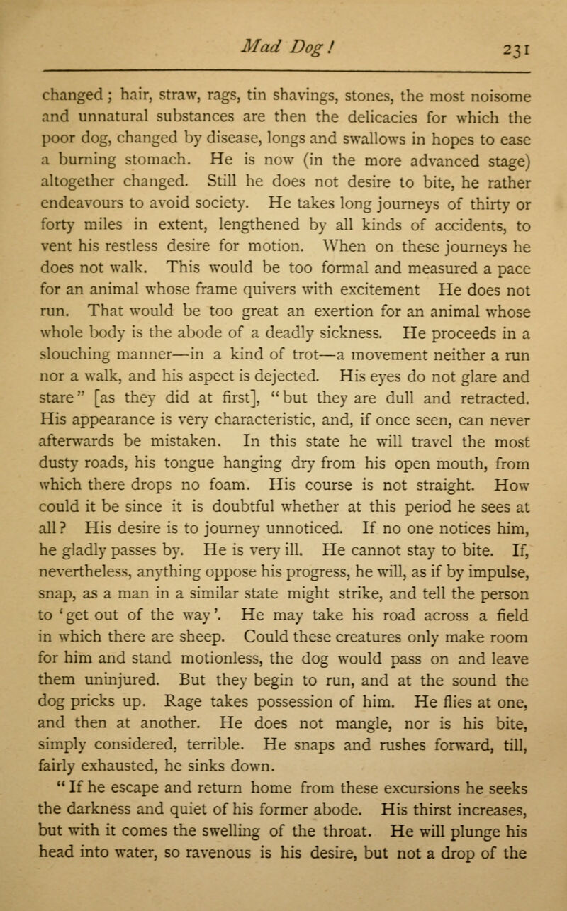 changed; hair, straw, rags, tin shavings, stones, the most noisome and unnatural substances are then the delicacies for which the poor dog, changed by disease, longs and swallows in hopes to ease a burning stomach. He is now (in the more advanced stage) altogether changed. Still he does not desire to bite, he rather endeavours to avoid society. He takes long journeys of thirty or forty miles in extent, lengthened by all kinds of accidents, to vent his restless desire for motion. When on these journeys he does not walk. This would be too formal and measured a pace for an animal whose frame quivers with excitement He does not run. That would be too great an exertion for an animal whose whole body is the abode of a deadly sickness. He proceeds in a slouching manner—in a kind of trot—a movement neither a run nor a walk, and his aspect is dejected. His eyes do not glare and stare [as they did at first],  but they are dull and retracted. His appearance is very characteristic, and, if once seen, can never afterwards be mistaken. In this state he will travel the most dusty roads, his tongue hanging dry from his open mouth, from which there drops no foam. His course is not straight. How could it be since it is doubtful whether at this period he sees at all ? His desire is to journey unnoticed. If no one notices him, he gladly passes by. He is very ill. He cannot stay to bite. If, nevertheless, anything oppose his progress, he will, as if by impulse, snap, as a man in a similar state might strike, and tell the person to ' get out of the way'. He may take his road across a field in which there are sheep. Could these creatures only make room for him and stand motionless, the dog would pass on and leave them uninjured. But they begin to run, and at the sound the dog pricks up. Rage takes possession of him. He flies at one, and then at another. He does not mangle, nor is his bite, simply considered, terrible. He snaps and rushes forward, till, fairly exhausted, he sinks down.  If he escape and return home from these excursions he seeks the darkness and quiet of his former abode. His thirst increases, but with it comes the swelling of the throat. He will plunge his head into water, so ravenous is his desire, but not a drop of the