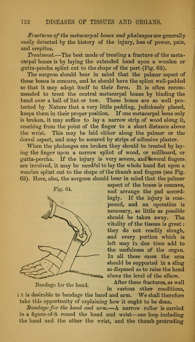 Fractures of the metacarpal hones and phalanges are generally easily detected by the history of the injury, loss of power, pain, and crepitus. Treatment.—The best mode of treating a fracture of the meta- carpal bones is by laying the extended hand upon a wooden or gutta-percha splint cut to the shape of the part (Fig. 63). The surgeon should bear in mind that the palmar aspect of these bones is concave, and he should have the splint well-padded so that it may adapt itself to their form. It is often recom- mended to treat the central metacarpal bones by binding the hand over a ball of lint or tow. These bones are so well pro- tected by Nature that a very little padding, judiciously placed, keeps them in their proper position. If one metacarpal bone only is broken, it may suffice to lay a narrow strip of wood along it, reaching from the point of the finger to a short distance above the wrist. This may be laid either along the palmar or the dorsal aspect, and may be secured by strips of adhesive plaster. When the phalanges are broken they should be treated by lay- ing the finger upon a narrow splint of wood, or millboard, or gutta-percha. If the injury is very severe, and several fingers are involved, it may be needful to lay the whole hand flat upon a wooden splint cut to the shape of the thumb and fingers (see Fig. 63). Here, also, the surgeon should bear in mind that the palmar aspect of the bones is concave, ^ ig. d4:. j^j^^ arrange the pad accord- ingly. If the injury is com- pound, and an operation is necessary, as little as possible should be taken away. The vitality of the tissues is great: they do not readily slough, and every portion which is left may in due time add to the usefulness of the organ. In all these cases the arm should be supported in a sling so disposed as to raise the hand above the level of the elbow. After these fractures, as well in various other conditions, i t is desirable to bandage the hand and arm. We shall therefore take this opportunity of explaining how it ought to be done. Bandage for the hand and arm.—A narrow roller is carried in a figure-of-8 round the hand and wrist—one loop including the hand and the other the wrist, and the thumb protruding Bandage for the hand.