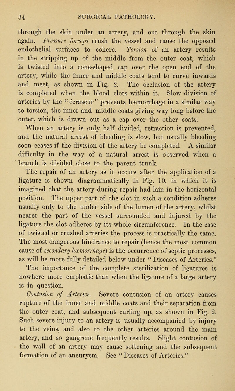 through the skin under an artery, and out through the skin again. Pressure forceps crush the vessel and cause the opposed endothelial surfaces to cohere. Torsion of an artery results in the stripping up of the middle from the outer coat, which is twisted into a cone-shaped cap over the open end of the artery, while the inner and middle coats tend to curve inwards and meet, as shown in Fig. 2. The occlusion of the artery is completed when the blood clots within it. Slow division of arteries by the ecraseur prevents haemorrhage in a similar way to torsion, the inner and middle coats giving way long before the outer, which is drawn out as a cap over the other coats. When an artery is only half divided, retraction is prevented, and the natural arrest of bleeding is slow, but usually bleeding soon ceases if the division of the artery be completed, A similar difficulty in the way of a natural arrest is observed when a branch is divided close to the parent trunk. The repair of an artery as it occurs after the application of a ligature is shown diagrammatically in Fig. 10, in which it is imagined that the artery during repair had lain in the horizontal position. The upper part of the clot in such a condition adheres usually only to the under side of the lumen of the artery, whilst nearer the part of the vessel surrounded and injured by the ligature the clot adheres by its whole circumference. In the case of twisted or crushed arteries the process is practically the same. The most dangerous hindrance to repair (hence the most common cause of secondary luemorrliage) is the occurrence of septic processes, as will be more fully detailed below under  Diseases of Arteries. The importance of the complete sterilization of ligatures is nowhere more emphatic than when the ligature of a large artery is in question. Contusion of Arteries. Severe contusion of an artery causes ruptiire of the inner and middle coats and their separation from the outer coat, and subsequent curling up, as shown in Fig. 2. Such severe injury to an artery is usually accompanied by injury to the veins, and also to the other arteries around the main artery, and so gangrene frequently results. Slight contusion of the wall of an artery may cause softening and the subsequent formation of an aneurysm. See Diseases of Arteries.
