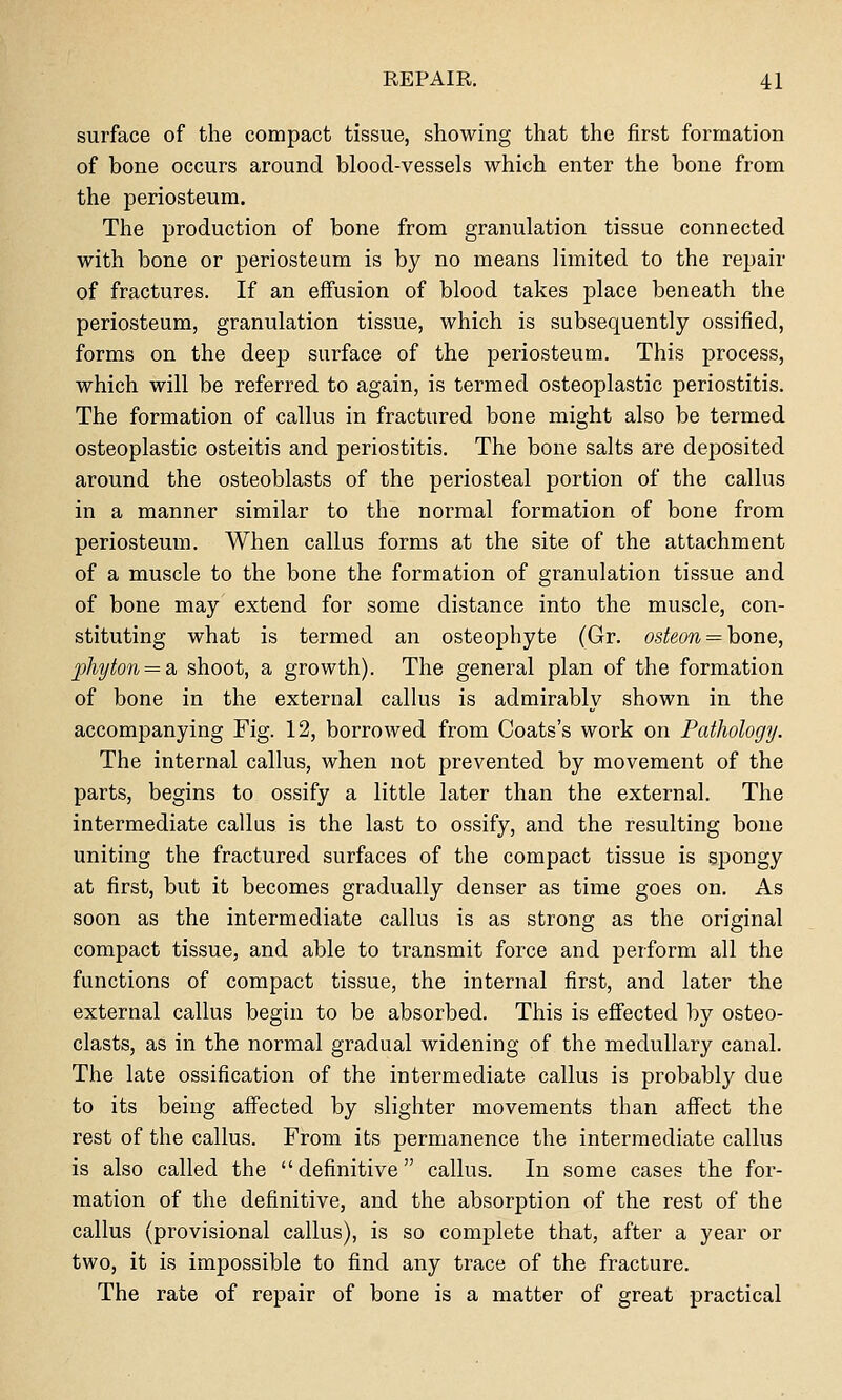surface of the compact tissue, showing that the first formation of bone occurs around blood-vessels which enter the bone from the periosteum. The production of bone from granulation tissue connected with bone or periosteum is by no means limited to the repair of fractures. If an effusion of blood takes place beneath the periosteum, granulation tissue, which is subsequently ossified, forms on the deep surface of the periosteum. This process, which will be referred to again, is termed osteoplastic periostitis. The formation of callus in fractured bone might also be termed osteoplastic osteitis and periostitis. The bone salts are deposited around the osteoblasts of the periosteal portion of the callus in a manner similar to the normal formation of bone from periosteum. When callus forms at the site of the attachment of a muscle to the bone the formation of granulation tissue and of bone may extend for some distance into the muscle, con- stituting what is termed an osteophyte (Gr. osteon = hone, phyton = di, shoot, a growth). The general plan of the formation of bone in the external callus is admirably shown in the accompanying Fig. 12, borrowed from Coats's work on Pathology. The internal callus, when not prevented by movement of the parts, begins to ossify a little later than the external. The intermediate callus is the last to ossify, and the resulting bone uniting the fractured surfaces of the compact tissue is spongy at first, but it becomes gradually denser as time goes on. As soon as the intermediate callus is as strong as the original compact tissue, and able to transmit force and perform all the functions of compact tissue, the internal first, and later the external callus begin to be absorbed. This is effected by osteo- clasts, as in the normal gradual widening of the medullary canal. The late ossification of the intermediate callus is probably due to its being affected by slighter movements than affect the rest of the callus. From its permanence the intermediate callus is also called the definitive callus. In some cases the for- mation of the definitive, and the absorption of the rest of the callus (provisional callus), is so complete that, after a year or two, it is impossible to find any trace of the fracture. The rate of repair of bone is a matter of great practical