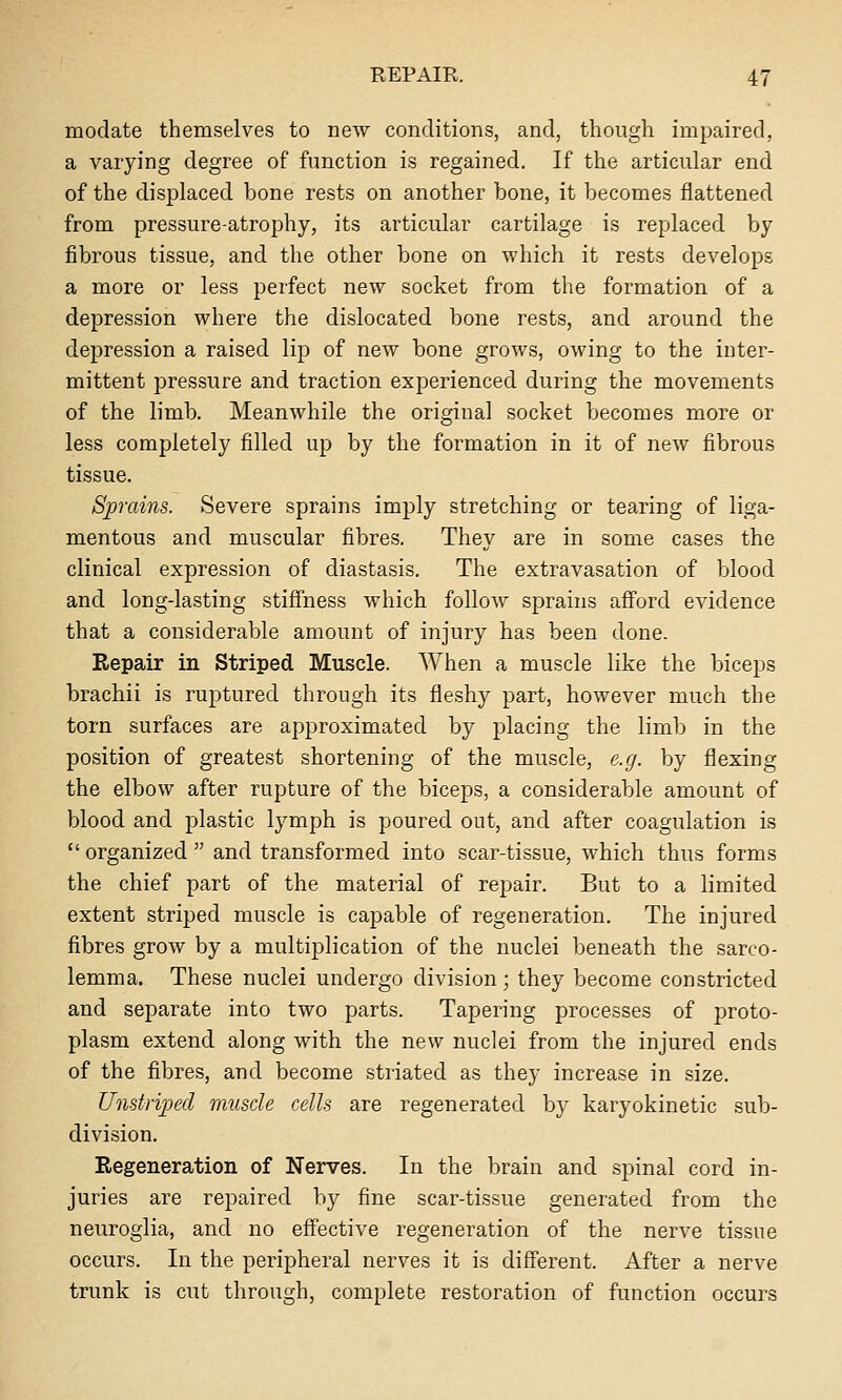 modate themselves to new conditions, and, though impaired, a varying degree of function is regained. If the articular end of the displaced bone rests on another bone, it becomes flattened from pressure-atrophy, its articular cartilage is replaced by fibrous tissue, and the other bone on which it rests develops a more or less perfect new socket from the formation of a depression where the dislocated bone rests, and around the depression a raised lip of new bone grows, owing to the inter- mittent pressure and traction experienced during the movements of the limb. Meanwhile the original socket becomes more or less completely filled up by the formation in it of new fibrous tissue. Sprains. Severe sprains imply stretching or tearing of liga- mentous and muscular fibres. They are in some cases the clinical expression of diastasis. The extravasation of blood and long-lasting stiffness which follow sprains afford evidence that a considerable amount of injury has been done. Repair in Striped Muscle. When a muscle like the biceps brachii is ruptured through its fleshy part, however much the torn surfaces are approximated by placing the limb in the position of greatest shortening of the muscle, e.g. by flexing the elbow after rupture of the biceps, a considerable amount of blood and plastic lymph is poured out, and after coagulation is  organized  and transformed into scar-tissue, which thus forms the chief part of the material of repair. But to a limited extent striped muscle is capable of regeneration. The injured fibres grow by a multiplication of the nuclei beneath the sarco- lemma. These nuclei undergo division; they become constricted and separate into two parts. Tapering processes of proto- plasm extend along with the new nuclei from the injured ends of the fibres, and become striated as they increase in size. Unstriped muscle cells are regenerated by karyokinetic sub- division. Regeneration of Nerves. In the brain and spinal cord in- juries are repaired by fine scar-tissue generated from the neuroglia, and no effective regeneration of the nerve tissue occurs. In the peripheral nerves it is different. After a nerve trunk is cut through, complete restoration of function occurs