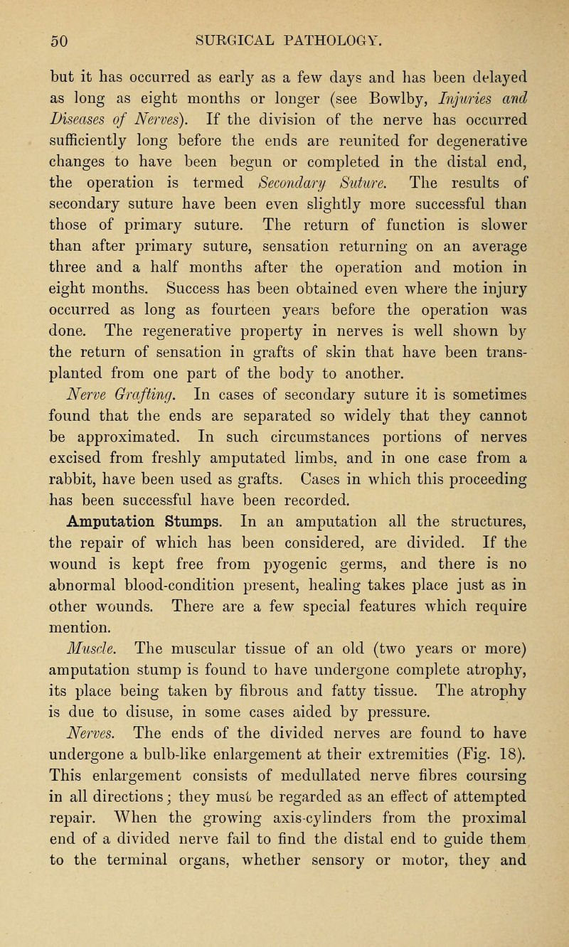 but it has occurred as early as a few days and lias been delayed as long as eight months or longer (see Bowlby, Injuries and Diseases of Nerves). If the division of the nerve has occurred sufficiently long before the ends are reunited for degenerative changes to have been begun or completed in the distal end, the operation is termed Secondary Suture. The results of secondary suture have been even slightly more successful than those of primary suture. The return of function is slower than after primary suture, sensation returning on an average three and a half months after the operation and motion in eight months. Success has been obtained even where the injury occurred as long as fourteen years before the operation was done. The regenerative property in nerves is well shown by the return of sensation in grafts of skin that have been trans- planted from one part of the body to another. Nerve Grafting. In cases of secondary suture it is sometimes found that the ends are separated so widely that they cannot be approximated. In such circumstances portions of nerves excised from freshly amputated limbs, and in one case from a rabbit, have been used as grafts. Cases in which this proceeding has been successful have been recorded. Amputation Stumps. In an amputation all the structures, the repair of which has been considered, are divided. If the wound is kept free from pyogenic germs, and there is no abnormal blood-condition present, healing takes place just as in other wounds. There are a few special features which require mention. Muscle. The muscular tissue of an old (two years or more) amputation stump is found to have undergone complete atrophy, its place being taken by fibrous and fatty tissue. The atrophy is due to disuse, in some cases aided by pressure. Nerves. The ends of the divided nerves are found to have undergone a bulb-like enlargement at their extremities (Fig. 18). This enlargement consists of medullated nerve fibres coursing in all directions; they must be regarded as an effect of attempted repair. When the growing axis-cylinders from the proximal end of a divided nerve fail to find the distal end to guide them to the terminal organs, whether sensory or motor, they and