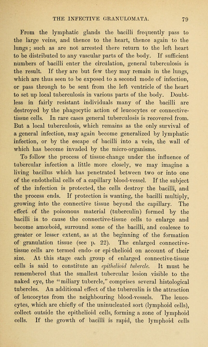 From the lymphatic glands the bacilli frequently pass to the large veins, and thence to the heart, thence again to the lungs; such as are not arrested there return to the left heart to be distributed to any vascular parts of the body. If sufficient niimbers of bacilli enter the circulation, general tuberculosis is the result. If they are but few they may remain in the lungs, which are thus seen to be exposed to a second mode of infection, or pass through to be sent from the left ventricle of the heart to set up local tuberculosis in various parts of the body. Doubt- less in fairly resistant individuals many of the bacilli are destroyed by the phagocytic action of leucocytes or connective- tissue cells. In rare cases general tuberculosis is recovered from. But a local tuberculosis, which remains as the only survival of a general infection, may again become generalized by lymphatic infection, or by the escape of bacilli into a vein, the wall of which has become invaded by the micro-organisms. To follow the process of tissue-change under the influence of tubercular infection a little more closely, we may imagine a living bacillus which has penetrated between two or into one of the endothelial cells of a capillary blood-vessel. If the subject of the infection is protected, the cells destroy the bacilli, and the process ends. If protection is wanting, the bacilli multiply, growing into the connective tissue beyond the capillary. The effect of the poisonous material (tuberculin) formed by the bacilli is to cause the connective-tissue cells to enlarire and become amoeboid, surround some of the bacilli, and coalesce to greater or lesser extent, as at the beginning of the formation of granulation tissue (see p. 22). The enlarged connective- tissue cells are termed endo- or epi-thelioid on account of their size. At this stage each group of enlarged connective-tissue cells is said to constitute an epithelioid tubercle. It must be remembered that the smallest tubercular lesion visible to the naked eye, the miliary tubercle, comprises several histological tubercles. An additional effect of the tuberculin is the attraction of leucocytes from the neighbouring blood-vessels. The leuco- cytes, which are chiefly of the uninucleated sort (lymphoid cells), collect outside the epithelioid cells, forming a zone of lymphoid cells. If the growth of bacilli is rapid, the lymphoid cells