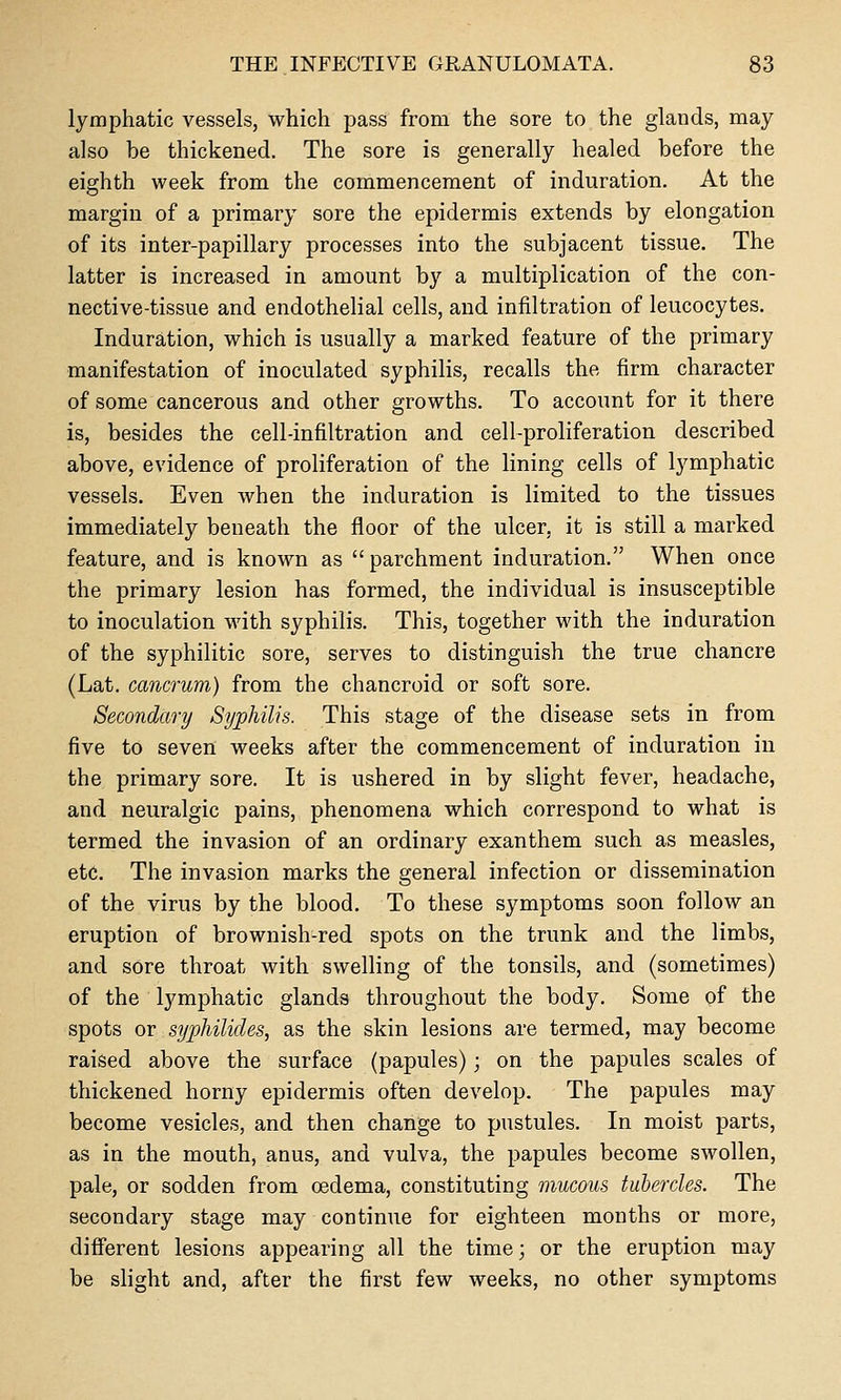 lymphatic vessels, which pass from the sore to the glands, may also be thickened. The sore is generally healed before the eighth week from the commencement of induration. At the margin of a primary sore the epidermis extends by elongation of its inter-papillary processes into the subjacent tissue. The latter is increased in amount by a multiplication of the con- nective-tissue and endothelial cells, and infiltration of leucocytes. Induration, which is usually a marked feature of the primary manifestation of inoculated syphilis, recalls the firm character of some cancerous and other growths. To account for it there is, besides the cell-infiltration and cell-proliferation described above, evidence of proliferation of the lining cells of lymphatic vessels. Even when the induration is limited to the tissues immediately beneath the floor of the ulcer, it is still a marked feature, and is known as parchment induration. When once the primary lesion has formed, the individual is insusceptible to inoculation with syphilis. This, together with the induration of the syphilitic sore, serves to distinguish the true chancre (Lat. cancrum) from the chancroid or soft sore. Secondary Syphilis. This stage of the disease sets in from five to seven weeks after the commencement of induration in the primary sore. It is ushered in by slight fever, headache, and neuralgic pains, phenomena which correspond to what is termed the invasion of an ordinary exanthem such as measles, etc. The invasion marks the general infection or dissemination of the virus by the blood. To these symptoms soon follow an eruption of brownish-red spots on the trunk and the limbs, and sore throat with swelling of the tonsils, and (sometimes) of the lymphatic glands throughout the body. Some of the spots or syphilides, as the skin lesions are termed, may become raised above the surface (papules); on the papules scales of thickened horny epidermis often develop. The papules may become vesicles, and then change to pustules. In moist parts, as in the mouth, anus, and vulva, the papules become swollen, pale, or sodden from oedema, constituting imicous tubercles. The secondary stage may continue for eighteen months or more, different lesions appearing all the time; or the eruption may be slight and, after the first few weeks, no other symptoms