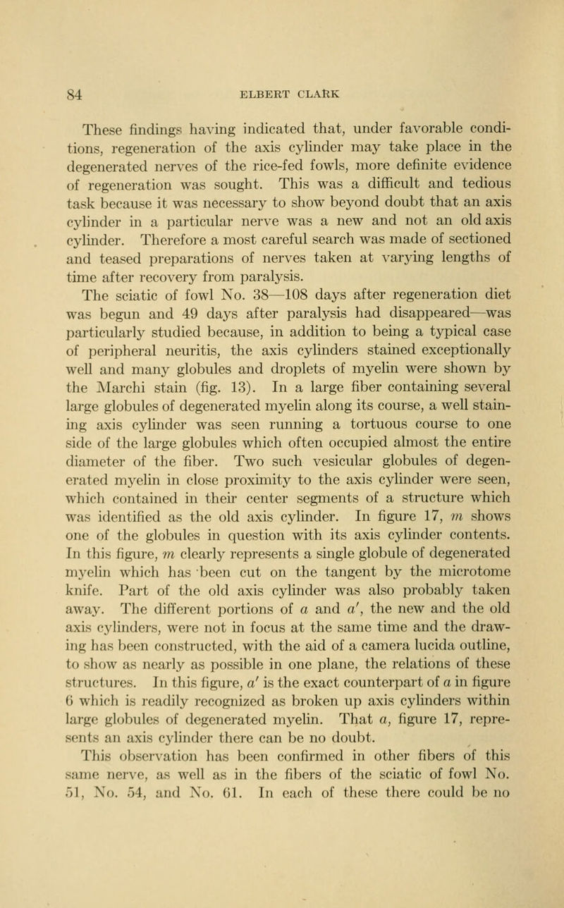 These findings having indicated that, under favorable condi- tions, regeneration of the axis cyhnder may take place in the degenerated nerves of the rice-fed fowls, more definite evidence of regeneration was sought. This was a difficult and tedious task because it was necessary to show beyond doubt that an axis cylinder in a particular nerve was a new and not an old axis cylinder. Therefore a most careful search was made of sectioned and teased preparations of nerves taken at varying lengths of time after recovery from paralysis. The sciatic of fowl No. 38—108 days after regeneration diet was begun and 49 days after paralysis had disappeared—was particularly studied because, in addition to being a typical case of peripheral neuritis, the axis cylinders stained exceptionally well and many globules and droplets of myelin were shown by the Marchi stain (fig. 13). In a large fiber containing several large globules of degenerated myelin along its course, a well stain- ing axis cylinder was seen running a tortuous course to one side of the large globules which often occupied almost the entire diameter of the fiber. Two such vesicular globules of degen- erated myelin in close proximity to the axis cylinder were seen, which contained in their center segments of a structure which was identified as the old axis cylinder. In figure 17, m shows one of the globules in question with its axis cylinder contents. In this figure, m clearly represents a single globule of degenerated myelin which has been cut on the tangent by the microtome knife. Part of the old axis cylinder was also probably taken away. The different portions of a and a', the new and the old axis cylinders, were not in focus at the same time and the draw- ing has been constructed, with the aid of a camera lucida outline, to show as nearly as possible in one plane, the relations of these structures. In this figure, a' is the exact counterpart of a in figure 6 which is readily recognized as broken up axis cylinders within large globules of degenerated myelin. That a, figure 17, repre- sents an axis cylinder there can be no doubt. This observation has been confirmed in other fibers of this same nerve, as well as in the fibers of the sciatic of fowl No. 51, No. 54, and No. 61. In each of these there could be no