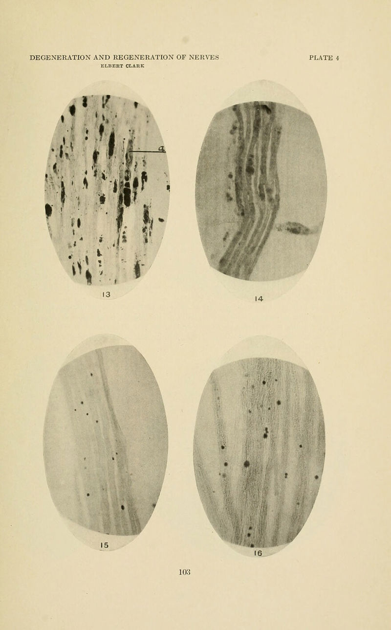 ELBERT CLARK 13 14  *-t; j. 15 16