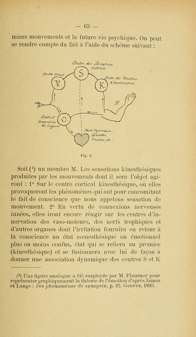 miers mouvements et la future vie psychique. On peut se rendre compte du fait à l'aide du schème suivant : ^/iG-e oies /k/i.sar'an.i Latemes. Fie. 6 Soit (^) un membre M. Les sensations kinesthésiques produites par les mouvements dont il sera l'objet agi- ront : 1° Sur le centre cortical kinesthésique, où elles provoqueront les phénomènes qui ont pour concomitant le fait de conscience que nous appelons sensation de mouvement. 2° En vertu de connexions nerveuses innées, elles iront encore réagir sur les centres d'in- nervation des vaso-moteurs, des nerfs trophiques et d'autres organes dont l'irritation fournira en retour à la conscience un état cœnesthésique ou émotionnel plus ou moins confus, état qui se reliera au premier (kinesthésique) et se fusionnera avec lui de façon à donner une association dynamique des centres S et K {}) Une figure analogue a été employée par M. Flournoy pour représenter graphiquement la théorie de l'émotion d'après James et Lange : Des phénomènes de synopsie, p. 22. Genève, 1893.