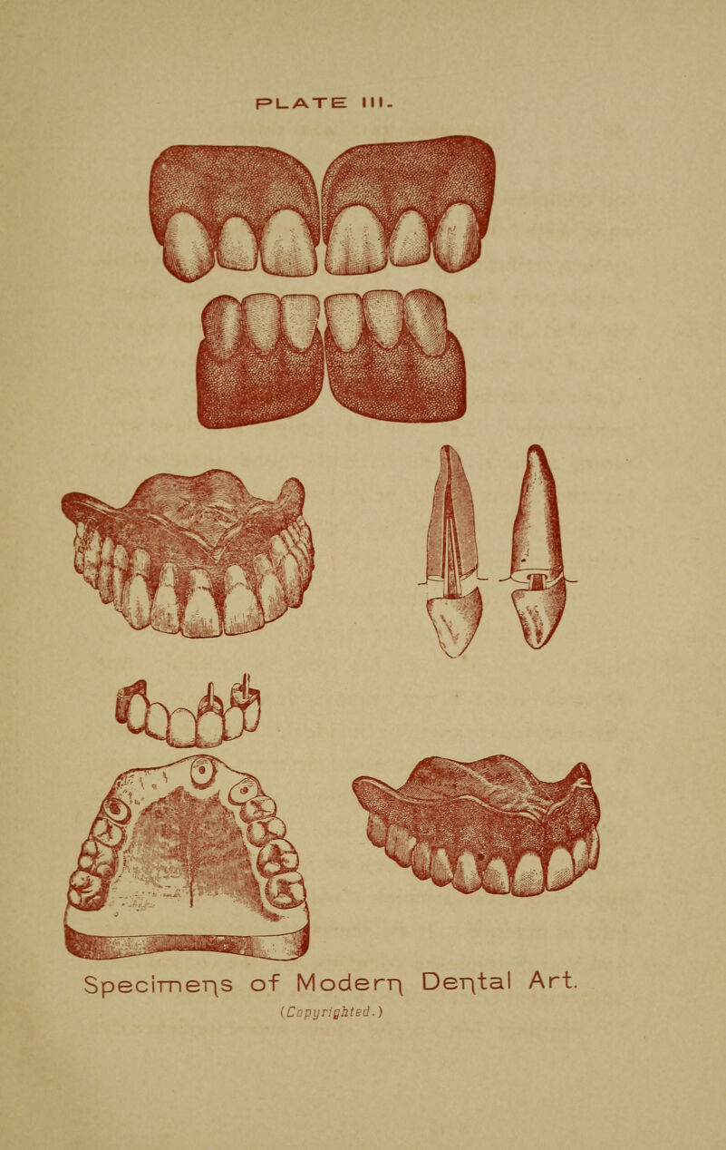 RL-AXE I Specimens of Moder-q Der\tal Art. (Copynghied.)