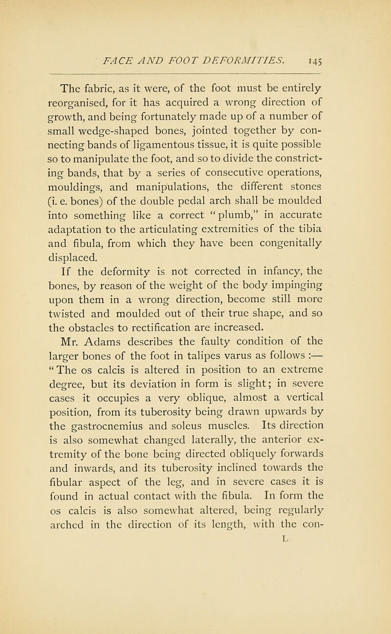 The fabric, as it were, of the foot must be entirely- reorganised, for it has acquired a wrong direction of growth, and being fortunately made up of a number of small wedge-shaped bones, jointed together by con- necting bands of ligamentous tissue, it is quite possible so to manipulate the foot, and so to divide the constrict- ing bands, that by a series of consecutive operations, mouldings, and manipulations, the different stones (i. e. bones) of the double pedal arch shall be moulded into something like a correct  plumb, in accurate adaptation to the articulating extremities of the tibia and fibula, from which they have been congenitally displaced. If the deformity is not corrected in infancy, the bones, by reason of the weight of the body impinging upon them in a wrong direction, become still more twisted and moulded out of their true shape, and so the obstacles to rectification are increased. Mr. Adams describes the faulty condition of the larger bones of the foot in talipes varus as follows :— The OS calcis is altered in position to an extreme degree, but its deviation in form is slight; in severe cases it occupies a very oblique, almost a vertical position, from its tuberosity being drawn upwards by the gastrocnemius and soleus muscles. Its direction is also somewhat changed laterally, the anterior ex- tremity of the bone being directed obliquely forwards and inwards, and its tuberosity inclined towards the fibular aspect of the leg, and in severe cases it is found in actual contact with the fibula. In form the OS calcis is also somewhat altered, being regularly arched in the direction of its length, with the con- L