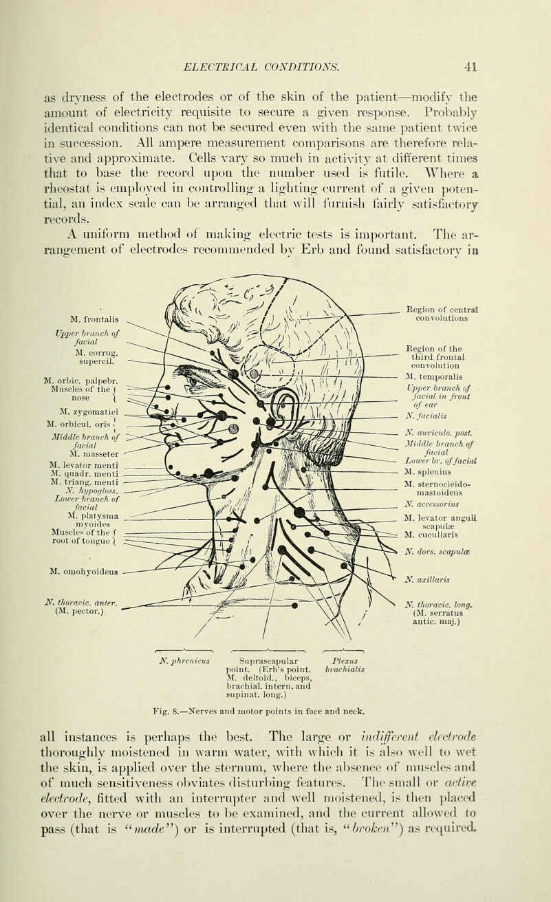 as dryness of the electrodes or of the skin of the patient—modify the amount of electricity requisite to secure a given response. Probably identical conditions can not be secured even with the same patient twice in succession. All ampere measurement comparisons are therefore rela- tive and approximate. Cells vary so much in activity at different times that to base the record upon the number used is futile. Where a rheostat is employed in controlling a lighting current of a given poten- tial, an index scale can be arranged that will furnish i'airly satisfactory records. A uniform method of making electric tests is important. The ar- rangement of electrodes recommended by Erb and found satisfactory in M. frontalis Upper branch of facial M. corrug. supeicil. M. orbio. palpebr. Muscles of the j nose I M. zygomatici M. orbicul. oris < I Middle branch of facial M. masseter M. levator menti M. quadr. menti M. triang. menti N. hypogloss. Lower branch of facial M. platysma mvoides Muscles of the root of tongue M. omohyoideus N. thoracic, anier. (M. pector.) { = N. phrenicus Suprascapular point. (Erb's point. M. deltoid., biceps, brachial, intern, and supinat. long.) Plexus brachialis Eegion of central convolutions Region of the third frontal convolution M. temporalis Upper branch of facial in front of ear N. facialis N. auricula, post. 3Iiddle branch of facial Lower br. of facial M. splenius M. sternocleido- mastoideus N. accessorius M. levator anguli scapuliE M. cucullaris N. dors, scapula N. axillaris N. thoracic, long. (M. serratus antic, maj.) Fig. 8.—Nerves and motor points in face and neck. all instances is perhaps the best. The large or indifferent electrode thoroughly moistened in warm water, with which it is also well to wet the skin, is applied over the sternum, where the absence of nuiscles and of much sensitiveness f)l)viates disturbing features. The small or active electrode, fitted with an interrupter and well moistened, is then placed over the nerve or muscles to be examined, and the current allowed to pass (that is made) or is interrupted (that is, broken) as required