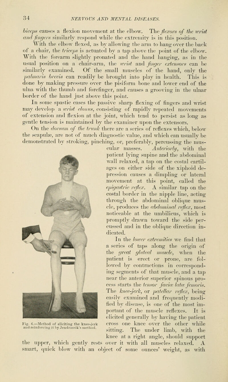 biceps causes a flexion movement at the elbow. The flexors of the icrist and fingers similarly respond while the extremity is in this position. AYith the elbow flexed, as bv allowing the arm to hang over the back of a chair, the triceps is actuated bv a tap above the point of the elbow. With the forearm slightly pronated and the hand hanging, as in the usual position on a chair-arm, the larist and finger exteruors can be similarly examined. Of the small muscles of the hand, only the pjahnaris hrevis can readily be brought into play in health. This is done by making pressure over the pisiform bone and lower end of the ulna with the thumb and forefinger, and causes a grooving in the ulnar border of the hand just above this point. In some spastic cases the passive sharp flexing of fingers and wrist may develop a v:rist clonus, consisting of rapidly repeated movements of extension and flexion at the joint, which tend to persist as long as gentle tension is maintained by the examiner upon the extensors. On the dorsum of the trunk there are a series of reflexes which, below the scapulae, are not of much diagnostic value, and which can usually be demonstrated by stroking, pinching, or, preferably, percussing the mus- cular masses. Anteriorly, with the patient lying supine and the abdominal wall relaxed, a tap on the costal cartil- ages on either side of the xiphoid de- pression causes a dimpling or lateral movement at this point, called the epigastric reflex. A similar tap on the costal border in the nipple line, acting through the abdominal oblique mus- cle, produces the abdominal reflex, most noticeable at the umbilicus, which is promptly drawn toward the side per- ^^^^ cussed and in the oblique direction in- H^^^ dicated. ^ ^ - ML In the lower extremities we find that a series of taps along the origin of the great gluteal muscle, when the patient is erect or prone, are fol- lowed by contractions in correspond- ing segments of that muscle, and a tap near the anterior superior spinous pro- cess starts the tensor facice latce femoris. The knee-jerk, or patellar reflex, being easily examined and frequently modi- fied by disease, is one of the most im- portant of the muscle reflexes. It is elicited generally by having the patient Fig. 6.—Method of eliciting the knee-jerk CrOSS OUe kuec OVCr the OtllCr while and reinforcing it by Jendrassik's method. ■,,• ^^K^ -i t i • ,^ ^ Sitting. I he under limb, with the knee at a right angle, should support the upper, which gently rests over it with all muscles relaxed. A smart, quick blow with an object of some ounces' weight, as with