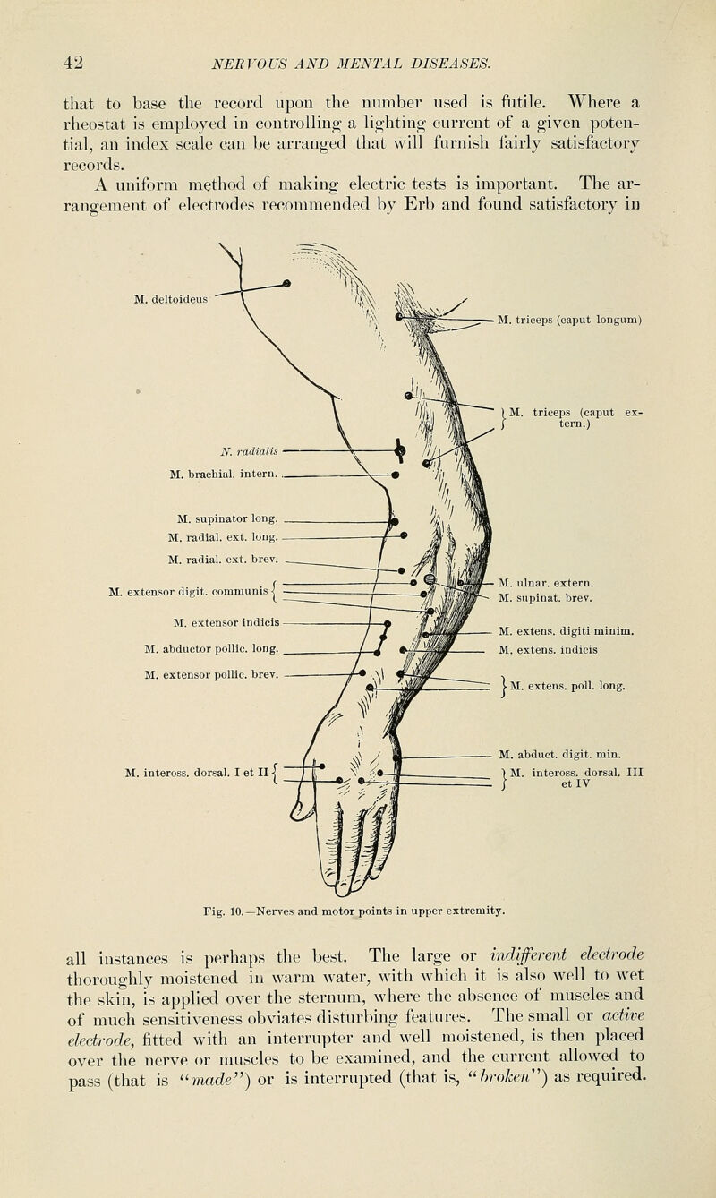 that to base the record upon the number used is futile. Where a rheostat is employed in controlling a lighting current of a given poten- tial, an index scale can be arranged that will furnish lairly satisfactory records. A uniform method of making electric tests is important. The ar- rangement of electrodes recommended by Erb and found satisfactory in M. deltoideus N. radialis M. brachial, intern. M. supinator long. M. radial, ext. long. M. radial, ext. brev. M. extensor digit, communis \ M. extensor indicis M. abductor pollic. long. M. extensor pollic. brev. M. inteross. dorsal, M. triceps (caput longum) M. triceps (caput ex- tern.) M. ulnar, extern. M. supinat. brev. M. extens. digiti minim. M. extens. indicis \ M. extens. poll. long. M. abduct, digit, min. M. inteross. dorsal. Ill etIV Fig. 10.—Nerves and motor points in upper extremity. all instances is perhaps the best. The large or indifferent electrode thoroughly moistened in warm water, with which it is also well to wet the skin, is applied over the sternum, where the absence of muscles and of much sensitiveness obviates disturbing features. The small or active electrode, fitted with an interrupter and well moistened, is then placed over the nerve or muscles to be examined, and the current allowed to pass (that is ''made'') or is interrupted (that is, broken) as required.