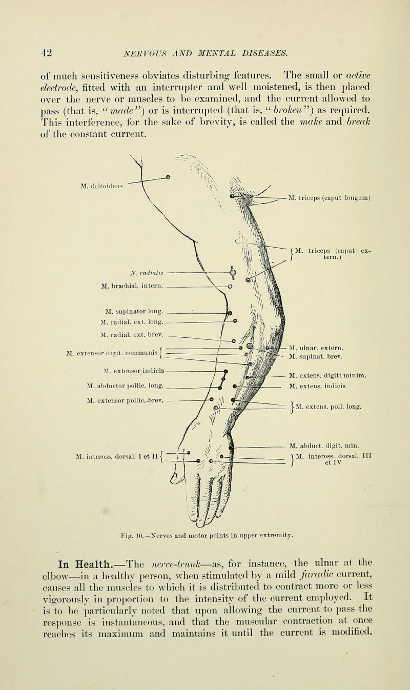 of much sensitiveness obviates disturbing features. The small or active electrode, fitted with an interrupter and well moistened, is then placed over the nerve or muscles to be examined, and the current allowed to pass (that is,  made ) or is interrupted (that is,  broken ) as required. This interference, for the sake of brevity, is called the make and break of the constant current. M. dcltoiileu N. radial is M. brachial, intern. M. supinator long. M. radial, ext. long. M. radial, ext. brev. M. extensor digit, commiinis I M. extensor indicis M. abductor pollic. long. M. extensor pollic.-brev. M. inteross. dorsal. I et II -j M. triceps (caput longum) M. triceps (caput ex- tern.) M. ulnar, extern. M. supinat. brev. M. extens. digiti minim. M. extens. indicis extens. poll. long. M. abduct, digit, min. M. inteross. dorsal. Ill etIV Fig. 10.—Nerves and motor points in upper extremity. In Health.—The nerve-trunk—as, for instance, the ulnar at the elbow—in a healthy person, when stimulated by a mild faradic current, causes all the muscles to which it is distributed to contract more or less vigorously in proportion to the intensity of the current employed. It is to be particularly noted that upon allowing the current to pass the response is instantaneous, and that the muscular contraction at once reaches its maximum and maintains it until the current is modified.