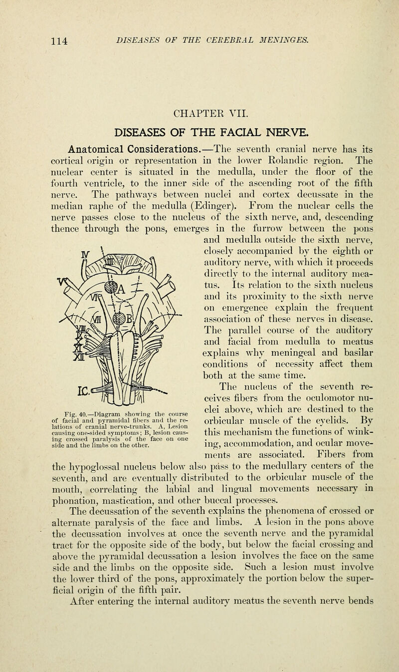 CHAPTER VII. DISEASES OF THE FACIAL NERVE. Anatomical Considerations.—The seventh cranial nerve has its cortical origin or representation in the lower Rolandic region. The nuclear center is situated in the medulla, under the floor of the fourth ventricle, to the inner side of the ascending root of the fifth nerve. The pathways between nuclei and cortex decussate in the median raphe of the medulla (Edinger). From the nuclear cells the nerve passes close to the nucleus of the sixth nerve, and, descending thence through the pons, emerges in the furrow between the pons and medulla outside the sixth nerve, closely accompanied by the eighth or auditory nerve, with which it proceeds directly to the internal auditory mea- tus. Its relation to the sixth nucleus and its proximity to the sixth nerve on emergence explain the frequent association of these nerves in disease. The parallel course of the auditory and facial from medulla to meatus explains why meningeal and basilar conditions of necessity affect them both at the same time. The nucleus of the seventh re- ceives fibers from the oculomotor nu- clei above, which are destined to the orbicular muscle of the eyelids. By this mechanism the functions of wink- ing, accommodation, and ocular move- ments are associated. Fibers from the hypoglossal nucleus below also pass to the medullary centers of the seventh, and are eventually distributed to the orbicular muscle of the mouth, correlating the labial and lingual movements necessary in phonation, mastication, and other buccal processes. The decussation of the seventh explains the phenomena of crossed or alternate paralysis of the face and limbs. A lesion in the pons above the decussation involves at once the seventh nerve and the pyramidal tract for the opposite side of the body, but below the facial crossing and above the pyramidal decussation a lesion involves the face on the same side and the limbs on the opposite side. Such a lesion must involve the lower third of the pons, approximately the portion below the super- ficial origin of the fifth pair. After entering the internal auditory meatus the seventh nerve bends Fig. 40.—Diagram showing the course of facial and pyramidal fibers and the re- lations of cranial nerve-trunks. A, Lesion causing one-sided symptoms; B, lesion caus- ing crossed paralysis of the face on one side and the limbs on the other.