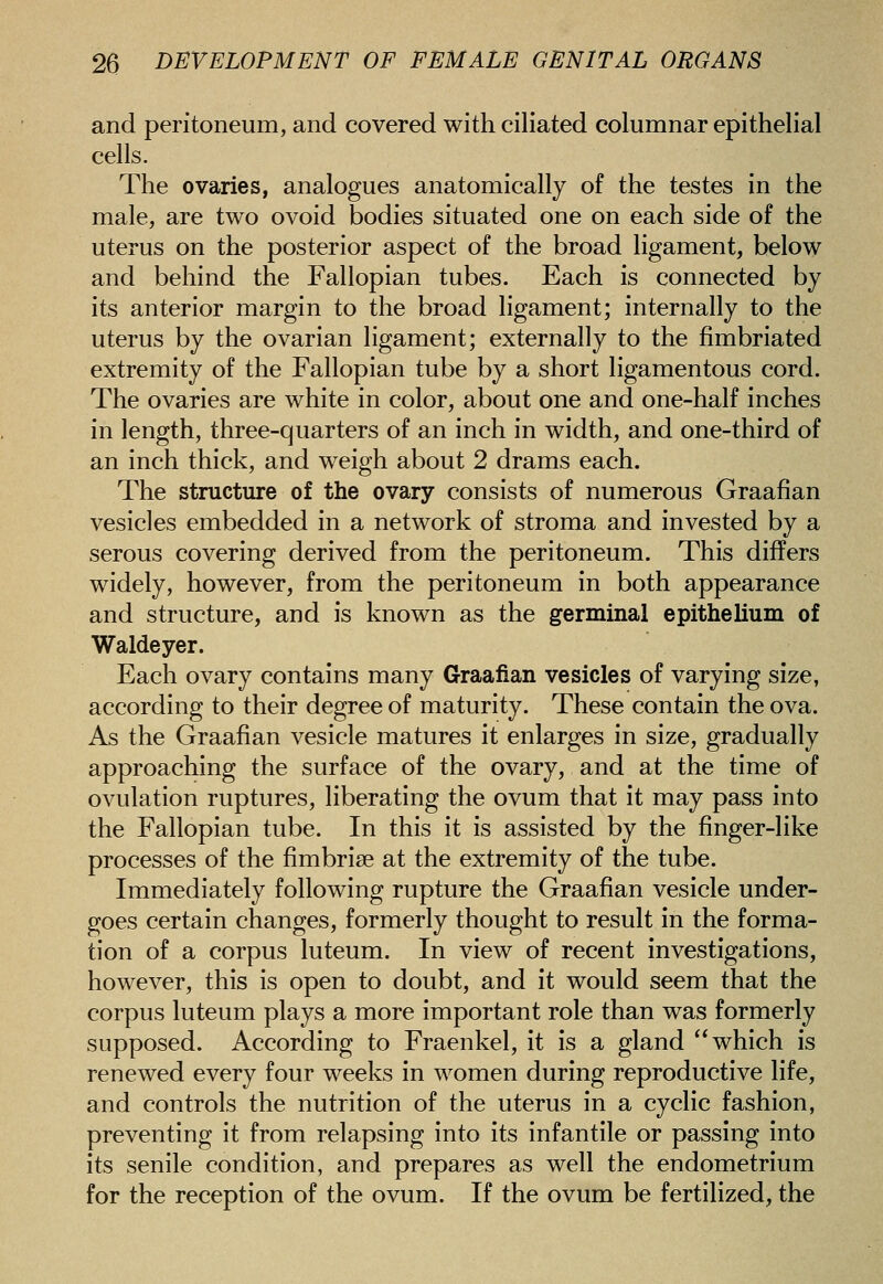 and peritoneum, and covered with ciliated columnar epithelial cells. The ovaries, analogues anatomically of the testes in the male, are two ovoid bodies situated one on each side of the uterus on the posterior aspect of the broad ligament, below and behind the Fallopian tubes. Each is connected by its anterior margin to the broad ligament; internally to the uterus by the ovarian ligament; externally to the fimbriated extremity of the Fallopian tube by a short ligamentous cord. The ovaries are white in color, about one and one-half inches in length, three-quarters of an inch in width, and one-third of an inch thick, and weigh about 2 drams each. The structure of the ovary consists of numerous Graafian vesicles embedded in a network of stroma and invested by a serous covering derived from the peritoneum. This differs widely, however, from the peritoneum in both appearance and structure, and is known as the germinal epithelium of Waldeyer. Each ovary contains many Graafian vesicles of varying size, according to their degree of maturity. These contain the ova. As the Graafian vesicle matures it enlarges in size, gradually approaching the surface of the ovary, and at the time of ovulation ruptures, liberating the ovum that it may pass into the Fallopian tube. In this it is assisted by the finger-like processes of the fimbriae at the extremity of the tube. Immediately following rupture the Graafian vesicle under- goes certain changes, formerly thought to result in the forma- tion of a corpus luteum. In view of recent investigations, however, this is open to doubt, and it would seem that the corpus luteum plays a more important role than was formerly supposed. According to Fraenkel, it is a gland which is renewed every four weeks in women during reproductive life, and controls the nutrition of the uterus in a cyclic fashion, preventing it from relapsing into its infantile or passing into its senile condition, and prepares as well the endometrium for the reception of the ovum. If the ovum be fertilized, the