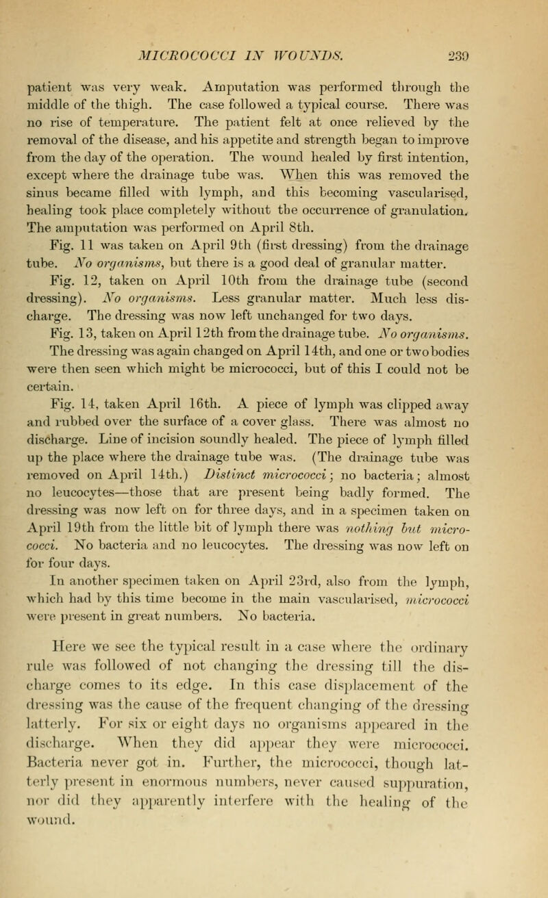 patient was very weak. Amputation was performed through the middle of the thigh. The case followed a typical course. There was no rise of temperature. The patient felt at once relieved by the removal of the disease, and his appetite and strength began to improve from the day of the operation. The wound healed by first intention, except where the drainage tube was. When this was removed the sinus became filled with lymph, and this becoming vascularised, healing took place completely without the occurrence of granulation. The amputation was performed on April 8th. Fig. 11 was taken on April 9th (first dressing) from the drainage tube. Xo organisms, but there is a good deal of granular matter. Fig. 12, taken on April 10th from the drainage tube (second dressing). No organisms. Less granular matter. Much less dis- charge. The dressing was now left unchanged for two days. Fig. 13, taken on April 12th from the drainage tube. Xo organisms. The dressing was again changed on April 14th, and one or two bodies were then seen which might be micrococci, but of this I could not be certain. Fig. 14, taken April 16th. A piece of lymph was clipped away and rubbed over the surface of a cover glass. There was almost no discharge. Line of incision soundly healed. The piece of lymph filled up the place where the drainage tube was. (The drainage tube was removed on April 14th.) Distinct micrococci; no bacteria; almost no leucocytes—those that are present being badly formed. The dressing was now left on for three days, and in a specimen taken on April 19th from the little bit of lymph there was nothing hut micro- cocci. No bacteria and no leucocytes. The dressing was now left on for four days. In another specimen taken on April 23rd, also from the lymph, which had by this time become in the main vascularised, micrococci were present in gi-eat numbers. No bacteria. Here we see the typical result in a case where the ordinary rule was followed of not changing the dressing till the dis- charge comes to its edge. In this case displacement of the dressing was the cause of the frequent changing of the dressing latterly. For six or eight days no organisms appeared in tlie discharge. When they did appear they were micrococci. Bacteria never got in. Further, the micrococci, though lat- terly present in enormous numbers, never caused suppuration nor did they apparently interfere with the healing of the wound.