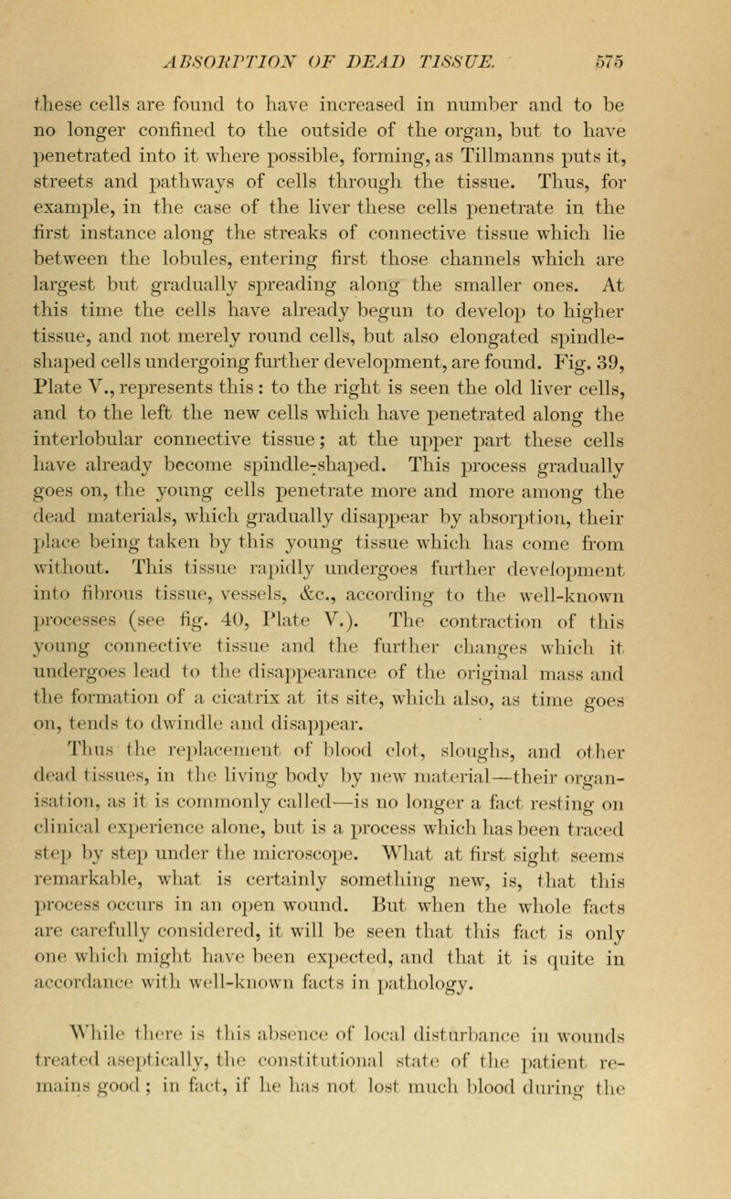 these cells are found to have increased in number and to be no longer confined to the outside of the organ, but to have penetrated into it where possible, forming, as Tillmanns puts it, streets and pathways of cells through the tissue. Thus, for example, in the case of the liver these cells penetrate in the first instance along the streaks of connective tissue which lie between the lobules, entering first those channels which are largest but gradually spreading along the smaller ones. At this time the cells have already begun to develop to higher tissue, and not merely round cells, but also elongated spindle- shaped cells undergoing further development, are found. P^ig. 39, Plate v., represents this: to the right is seen the old liver cells, and to the left the new cells which have penetrated along the interlobular connective tissue; at the upper part these cells have already become spindle-shaped. This process gradually goes on, the young cells penetrate more and more among the dead materials, which gradually disapjjear by absorption, their place being taken by this young tissue which has come from without. This tissue rapidly undergoes further development into fibrous tissue, vessels, &c., according to the well-known processes (see fig. 40, Plate V.). The contraction of this young connective tissue and the further changes which it undergoes lead to the disappearance of the original mass and the formation of a cicatrix at its site, which also, as time goes on, tends to dwindle and disappear. Thus the replacement of blood clot, sloughs, and other dead tissues, in the living body by new material—their organ- isation, as it is commonly called—is no longer a fact resting on clinical experience alone, but is a process which has been traced step by step under the microscope. What at first sight seems remarkable, what is certainly something new, is, that this process occurs in an open wound. But when the whole facts are carefully considered, it will be seen that this ftict is only one which might have been expected, and that it is quite in accordance with well-known facts in pathology. While there is this absence of local disturbance in wounds treated aseptically, the constitutional state of the patient re- mains good ; in fact, if he has not lost much l)lood during the