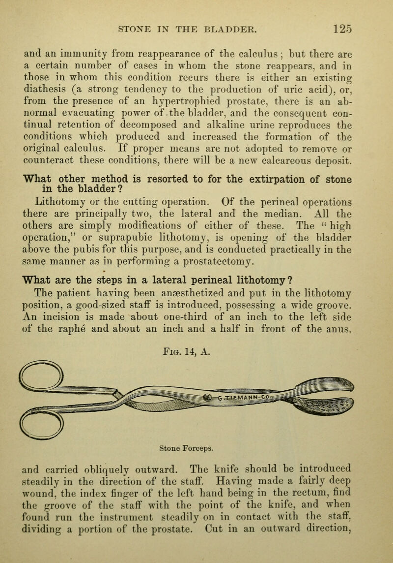 and an immunity from reappearance of the calculus ; but there are a certain number of cases in whom the stone reappears, and in those in whom this condition recurs there is either an existing diathesis (a strong tendency to the production of uric acid), or, from the presence of an hypertrophied prostate, there is an ab- normal evacuating power of-the bladder, and the consequent con- tinual retention of decomposed and alkaline urine reproduces the conditions which produced and increased the formation of the original calculus. If proper means are not adopted to remove or counteract these conditions, there will be a new calcareous deposit. What other method is resorted to for the extirpation of stone in the bladder? Lithotomy or the cutting operation. Of the perineal operations there are principally two, the lateral and the median, xlll the others are simply modifications of either of these. The  high operation, or suprapubic lithotomy, is opening of the bladder above the pubis for this purpose, and is conducted practically in the same manner as in performing a prostatectomy. What are the steps in a lateral perineal lithotomy? The patient having been anaesthetized and put in the lithotomy position, a good-sized staff is introduced, possessing a wide groove. An incision is made about one-third of an inch to the left side of the raphe and about an inch and a half in front of the anus. Fig. 14, A. Stone Forceps. and carried obliquely outward. The knife should be introduced steadily in the direction of the staff. Having made a fairly deep wound, the index finger of the left hand being in the rectum, find the groove of the staff with the point of the knife, and when found run the instrument steadily on in contact with the staff. dividing a portion of the prostate. Cut in an outward direction,