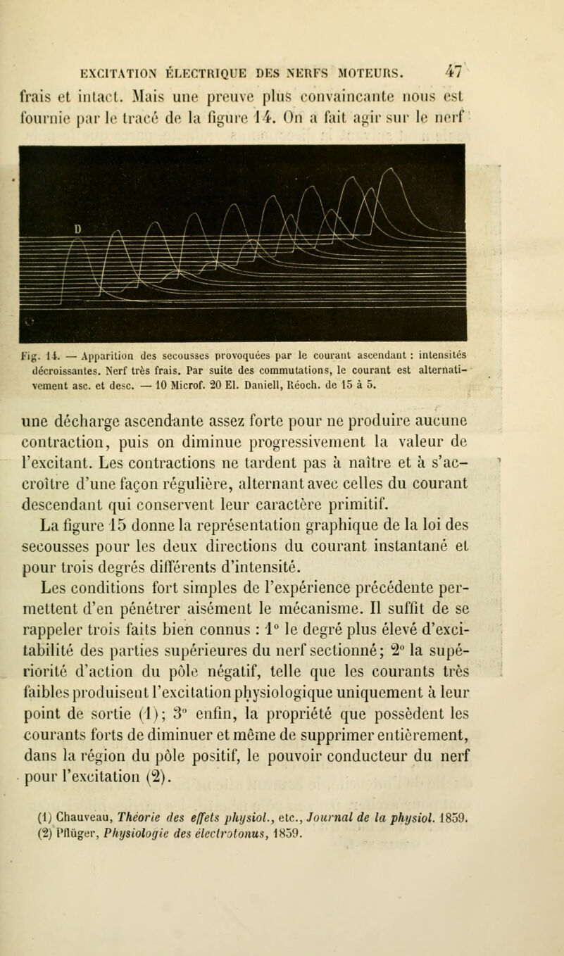 frais et intact. Mais une preuve plus convaincante nous est fournie par le tracé de la figure 14. On a fait agir sur le nerf Fij;. l-l. — Aiiiiurition des secousses provoquées par le courant ascendant : intensités décroissantes. Nerf très frais. Par suite des commutations, le courant est alternati- vement asc. et desc. — 10 Microf. 20 El. Daniell, Réoch. de 15 à 5. une décharge ascendante assez forte pour ne produire aucune contraction, puis on diminue progressivement la valeur de l'excitant. Les contractions ne tardent pas à naître et à s'ac- croître d'une façon régulière, alternant avec celles du courant descendant qui conservent leur caractère primitif. La figure 15 donne la représentation graphique de la loi des secousses pour les deux directions du courant instantané et pour trois degrés différents d'intensité. Les conditions fort simples de l'expérience précédente per- mettent d'en pénétrer aisément le mécanisme. Il suffit de se rappeler trois faits bien connus : 1 le degré plus élevé d'exci- tabilité des parties supérieures du nerf sectionné; 2 la supé- riorité d'action du p(Me négatif, telle que les courants très faibles produisent l'excitation physiologique uniquement à leur point de sortie (1); 3 enfin, la propriété que possèdent les courants forts de diminuer et même de supprimer entièrement, dans la région du pôle positif, le pouvoir conducteur du nerf pour l'excitation (2). (1) Chauveau, Théorie des effets physiol., etc., Journal de la physiol. 1859. (2) Pflùger, Physiologie des électrotonus, 1859.