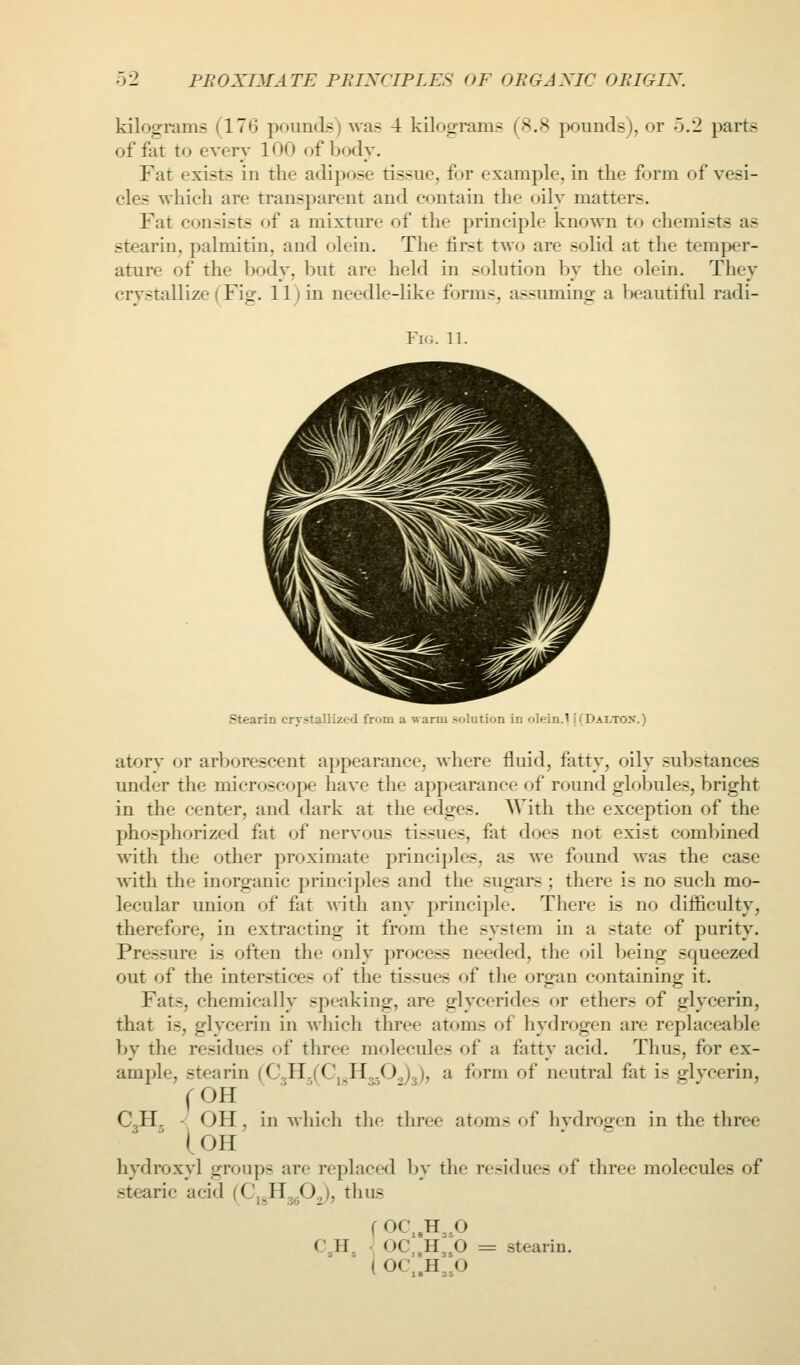 kilograms (176 pounds) was 4 kilograms (8.8 pounds), or 5.2 parts of fat to every 100 of body. Fat exists in the adipose tissue, for example, in the form of vesi- cles which are transparent and contain the oily matters. Fat consists of a mixture of the principle known to chemists as stearin, palmitin, and olein. The first two are solid at the temper- ature of the body, but are held in solution by the olein. They crystallize (Fig. 11) in needle-like forms, assuming a beautiful radi- FlG. 11. stearin crystallized from a warm solution in olein.' UDaltox.) atory or arborescent appearance, where fluid, fatty, oily substances under the microscojie have the appearance of round globules, bright in the center, and dark at the edges. AVith the exception of the pho-pliorized fat of nervous tissues, fat does not exist combined with the other proximate principles, as we found was the case \N-ith the inorganic principles and the sugars; there is no such mo- lecular union of fat with any principle. There is no difficulty, therefore, in extracting it from the system in a state of purity. Pressure is often the only process needed, the oil Ijeing squeezed out of the interstices of the tissues of the organ containing it. Fats, chemically speaking, are glycerides or ethers of glycerin, that is, glycerin in which three atoms of hydrogen are replaceable by the residues of three molecules of a fatty acid. Thus, for ex- ample, stearin (C^II.(C^^H,.0.,)^), a form of neutral fat is glycerin, fOH ' CjH. ^ OH, in Mhich the three atoms of hvdrogen in the three I OH hydroxyl groups are replaced Ijy the residues of three molecules of stearic acid (C^^H^O.^), thus C3H3 • OC,^U^^O = stearin.