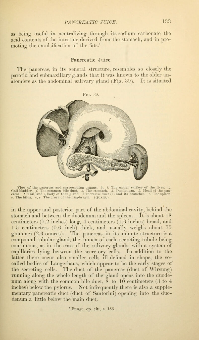 as being useful in neutralizing through its sodium carbonate the acid contents of tlie intestine derived from the stomach, and in pro- moting; the emulsitication of the fats/ Pancreatic Juice. The pancreas, in its general structure, resembles so closely the parotid and sul^maxillary glands that it was known to the older an- atomists as the abdominal salivary gland (Fig. o9). It is situated Fig. .39. View of the pancreas and surrounding organs. J. /. The under surface of the liver, g. Gall-bladder. /. The common bile-duct. s. The stomach, d. Duodenum, h. Head of the pan- creas, t. Tail, and i, body of that gland. Pancreatic duct (e) and its branches, r. The spleen. V. The hilus. c, c. The crura of the diaxjhragm. (Quais.) in the upper and posterior part of the abdominal cavity, behind the stomach and between the duodenum and the .-spleen. It is about 18 centimeters (7.2 inches) long, 4 centimeters (1.6 inches) broad, and 1.5 centimeters (0.6 inch) thick, and usually weighs about 75 grammes (2.6 ounces). The pancreas in its minute structure is a compound tubular gland, the lumen of each secreting tubule being continuous, as in the case of the salivary glands, with a system of capillaries lying between the secretory cells. In addition to the latter there occur also smaller cells ill-defined in shape, the so- called bodies of Langerhaus, which appear to be the early stages of the secreting cells. The duct of the pancreas (duct of Wirsung) running along the whole length of the gland opens into the duode- num along with the common bile duct, 8 to ITJ centimeters (3 to 4 inches) below the pylorus. Not infrequently there is also a supple- mentary pancreatic duct (duct of Santorini) opening into the duo- denmn a little below the main duct.