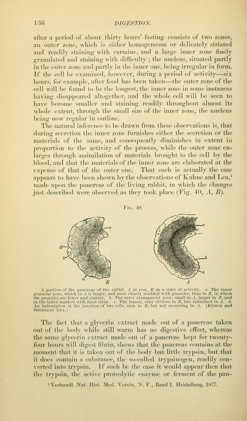 after a period of about thirty hours' fasting consists of two zones, an outer zone, which is either homogeneous or delicately striated and readily staining with carmine, and a large inner zone finely granulated and staining with difficulty ; the nucleus, situated partly in the outer zone and partly in the inner one, being irregular in form. If the cell be examined, however, during a period of activity—six hours, for example, after food has been taken—the out(!r zone of the cell will be found to be the longest, the inner zone in some instances having disappeared altogether, and the whole cell M'ill be seen to have become smaller and staining readily throughout almost its whole extent, througli the small size of the inner zone, the nucleus being- now reo-ular in outline. The natural inference to be drawn from these observations is, that during secretion the inner zone furnishes either the secretion or the materials of the same, and consequently diminishes in extent in proportion to the activity of the process, while the outer zone en- larges through assimilation of materials brought to the cell by the blood, and that the materials of the inner zone are elaborated at the expense of that of the outer one. That such is actually the case appears to have been shown by the observations of Kuhne and Lea,^ made upon the pancreas of the living rabbit, in which the changes just described were observed as they took place (Fig. 40, A, B). Fig. 40. A portion of the iiaiicrcas of the rabbit, .1 at rest, B iu a state of activity, a. The inner granular zone, which in J is hirger, and more closely studded with granules, than in B, in whicli the grannies are fewer and coarser, b. The outer transparent zone, small in A, larger in B, and in the latter marked with faint stria?, c. The lumen, very obvious in B, but indistinct iu A. d. An indentation at the junction of two cells, seen in B, but not occurring in ,1. (Kuhne and Sheridan Lk.v.) The fact that a glycerin extract made out of a pancreas taken out of the body while still warm has no digestive effect, whereas the same glycerin extract made out of a pancreas kept for twenty- four hours will digest fibrin, shows that the pancreas contains at the moment that it is taken out of the body but little trypsin, but that it does contain a sul)stance, the so-called trypsinogen, readily con- verted into trypsin. If such be the case it would a])pear then that the trypsin, the active proteolytic enzyme or ferment of the pan- 1 Verhandl. Nat. Hist. Med. Verein, N. F., Band 1, Heidelberg, 1877.