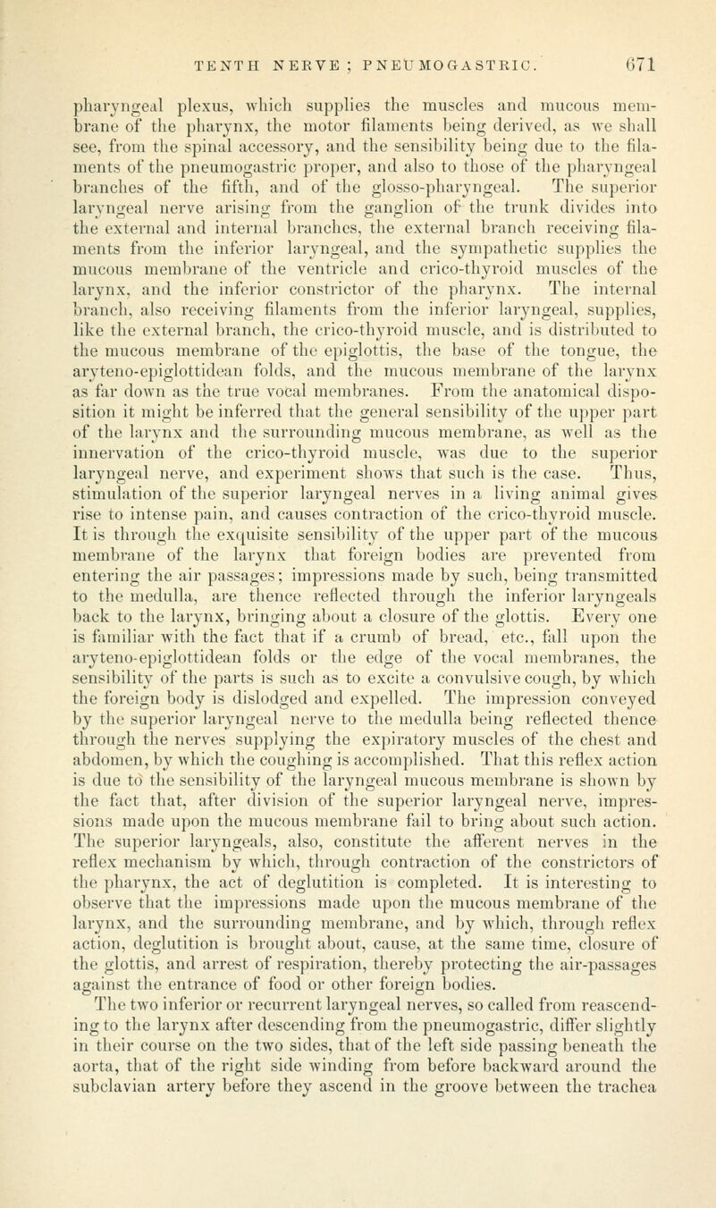 pharyngeal plexus, which supplies the muscles and mucous mem- brane of the pharynx, the motor filaments being derived, as we shall see, from the spinal accessory, and the sensibility being due to the fila- ments of the pneumogastric proper, and also to those of the pharyngeal branches of the fifth, and of the glossopharyngeal. The superior laryngeal nerve arising from the ganglion of the trunk divides into the external and internal branches, the external branch receiving fila- ments from the inferior laryngeal, and the sympathetic supplies the mucous membrane of the ventricle and crico-thyroid muscles of the larynx, and the inferior constrictor of the pharynx. The internal branch, also receiving filaments from the inferior laryngeal, supplies, like the external branch, the crico-thyroid muscle, and is distributed to the mucous membrane of the epiglottis, the base of the tongue, the aryteno-epiglottidean folds, and the mucous membrane of the larynx as far down as the true vocal membranes. From the anatomical dispo- sition it might be inferred that the general sensibility of the upper part of the larynx and the surrounding mucous membrane, as well as the innervation of the crico-thyroid muscle, was due to the superior laryngeal nerve, and experiment shows that such is the case. Thus, stimulation of the superior laryngeal nerves in a living animal gives rise to intense pain, and causes contraction of the crico-thyroid muscle. It is through the exquisite sensibility of the upper part of the mucous membrane of the larynx that foreign bodies are prevented from entering the air passages; impressions made by such, being transmitted to the medulla, are thence reflected through the inferior laryngeals back to the larynx, bringing about a closure of the glottis. Every one is familiar with the fact that if a crumb of bread, etc., fall upon the aryteno-epiglottidean folds or the edge of the vocal membranes, the sensibility of the parts is such as to excite a convulsive cough, by which the foreign body is dislodged and expelled. The impression conveyed by the superior laryngeal nerve to the medulla being reflected thence through the nerves supplying the expiratory muscles of the chest and abdomen, by which the coughing is accomplished. That this reflex action is due to the sensibility of the laryngeal mucous membrane is shown by the fact that, after division of the superior laryngeal nerve, impres- sions made upon the mucous membrane fail to bring about such action. The superior laryngeals, also, constitute the afferent nerves in the reflex mechanism by which, through contraction of the constrictors of the pharynx, the act of deglutition is completed. It is interesting to observe that the impressions made upon the mucous membrane of the larynx, and the surrounding membrane, and by which, through reflex action, deglutition is brought about, cause, at the same time, closure of the glottis, and arrest of respiration, thereby protecting the air-passages against the entrance of food or other foreign bodies. The two inferior or recurrent laryngeal nerves, so called from reascend- ingto the larynx after descending from the pneumogastric, differ slightly in their course on the two sides, that of the left side passing beneath the aorta, that of the right side winding from before backward around the subclavian artery before they ascend in the groove between the trachea