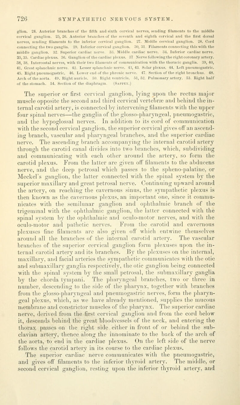 glion. 24. Anterior brandies of the fifth and sixth cervical nerves, sending filaments to the middle cervical ganglion. 25,20. Anterior branches of the seventh and eighth cervical and the first dorsal nerves, sending filaments to the inferior cervical ganglion. 27. Middle cervical ganglion. 28. Cord connecting the two ganglia. 29. Inferior cervical ganglion. 30, 31. Filaments connecting this with the middle ganglion. 32. Superior cardiac nerve. 33. Middle cardiac nerve. lit. Inferior cardiac nerve. 35,35. Cardiac plexus. 3(5. Ganglion of the cardiac plexus. 37 Nerve following the right coronary artery. 38, 38. Intercostal nerves, with tlieir two filaments of communication with the thoracic ganglia. 30, 40, 41. Great splanchnic nerve. 42. Lesser splanchnic nerve. 4:5, 43. Solar plexus. 44. Left pneumogastric. 45. Right pneumogastric. 46. Lower end of the phrenic nerve. 47. Section of the right bronchus. 48. Arch of the aorta. 49. Right auricle. 50. Right ventricle. 51,52. Pulmonary artery. 53. Right half of the stomach. 54. Section of the diaphragm. (Sappey.) The superior or first cervical ganglion, lying upon the rectus major muscle opposite the second and third cervical vertebrae and behind the in- ternal carotid artery, is connected by intervening filaments with the upper four spinal nerves—the ganglia of the glossopharyngeal, pneumogastric, and the hypoglossal nerves. In addition to its cord of communication with the second cervical ganglion, the superior cervical gives off'an ascend- ing branch, vascular and pharyngeal branches, and the superior cardiac nerve. The ascending branch accompanying the internal carotid artery through the carotid canal divides into two branches, which, subdividing and communicating with each other around the artery, so form the carotid plexus. From the latter are given oft filaments to the abducens nerve, and the deep petrosal which passes to the spheno-palatine, or Meckel's ganglion, the latter connected with the spinal system by the superior maxillary and great petrosal nerve. Continuing upward around the artery, on reaching the cavernous sinus, the sympathetic plexus is then known as the cavernous plexus, an important one, since it commu- nicates with the semilunar ganglion and ophthalmic branch of the trigeminal with the ophthalmic ganglion, the latter connected with the spinal system by the ophthalmic and oculo-motor nerves, and with the oculo-motor and pathetic nerves. From the carotid and cavernous plexuses fine filaments are also given off which entwine themselves around all the branches of the internal carotid artery. The vascular branches of the superior cervical ganglion form plexuses upon the in- ternal carotid artery and its branches. By the plexuses on the internal, maxillary, and facial arteries the sympathetic communicates with the otic and submaxillary ganglia respectively, the otic ganglion being connected with the spinal system by the small petrosal, the submaxillary ganglia by the chorda tympani. The pharyngeal branches, two or three in number, descending to the side of the pharynx, together with branches from the glossopharyngeal and pneumogastric nerves, form the pharyn- geal plexus, which, as we have already mentioned, supplies the mucous membrane and constrictor muscles of the pharynx. The superior cardiac nerve, derived from the first cervical ganglion and from the cord below it, descends behind the great bloodvessels of the neck, and entering the thorax passes on the right side either in front of or behind the sub- clavian artery, thence along the innominate to the back of the arch of the aorta, to end in the cardiac plexus. On the left side of the nerve follows the carotid artery in its course to the cardiac plexus. The superior cardiac nerve communicates with the pneumogastric, and gives off filaments to the inferior thyroid artery. The middle, or second cervical ganglion, resting upon the inferior thyroid artery, and