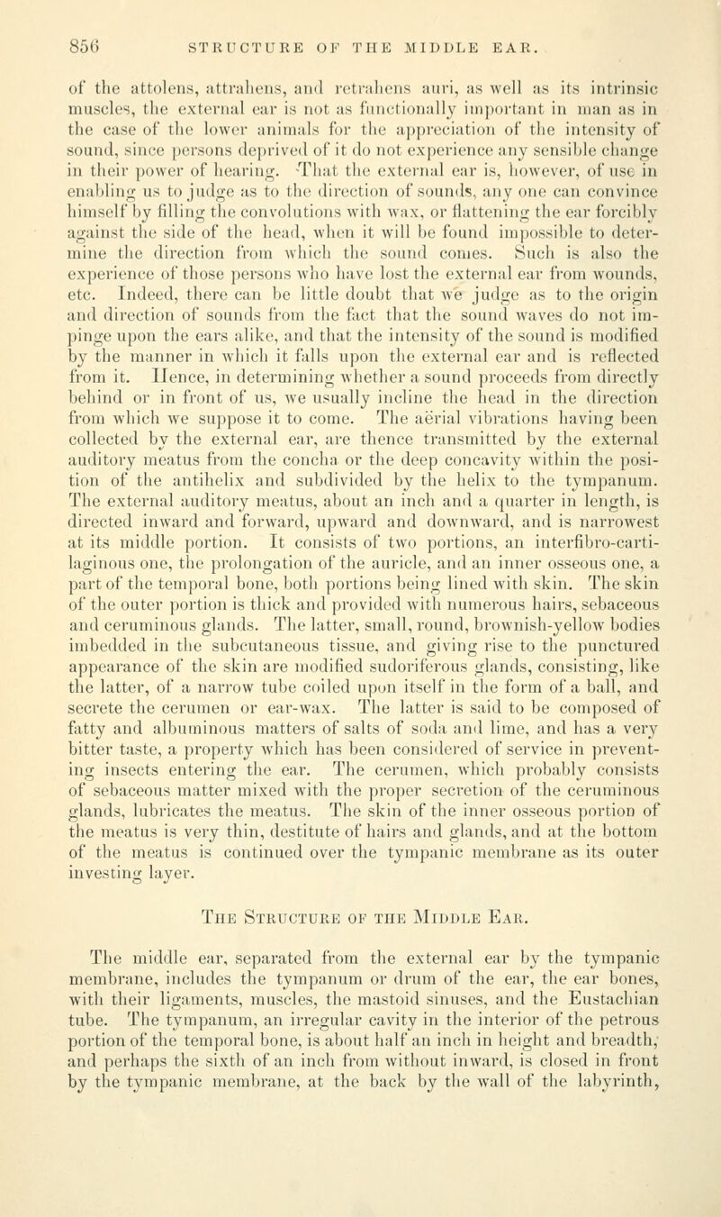 of the attolens, attrahens, and retrahens auri, as well as its intrinsic muscles, the external ear is not as functionally important in man as in the case of the lower animals for the appreciation of the intensity of sound, since persons deprived of it do not experience any sensihle change in their power of hearing. -That the external ear is, however, of use in enabling us to judge as to the direction of sounds, any one can convince himself by filling the convolutions with wax, or flattening the ear forcibly against the side of the head, when it will he found impossible to deter- mine the direction from which the sound comes. Such is also the experience of those persons who have lost the external ear from wounds, etc. Indeed, there can be little doubt that we judge as to the origin and direction of sounds from the fact that the sound waves do not im- pinge upon the ears alike, and that the intensity of the sound is modified by the manner in which it falls upon the external ear and is reflected from it. IJence, in determining whether a sound proceeds from directly behind or in front of us, we usually incline the head in the direction from which we suppose it to come. The aerial vibrations having been collected by the external ear, are thence transmitted by the external auditory meatus from the concha or the deep concavity within the posi- tion of the antihelix and subdivided by the helix to the tympanum. The external auditory meatus, about an inch and a quarter in length, is directed inward and forward, upward and downward, and is narrowest at its middle portion. It consists of two portions, an interfibro-carti- laginous one, the prolongation of the auricle, and an inner osseous one, a part of the temporal bone, both portions being lined with skin. The skin of the outer portion is thick and provided with numerous hairs, sebaceous and ceruminous glands. The latter, small, round, brownish-yellow bodies imbedded in the subcutaneous tissue, and giving rise to the punctured appearance of the skin are modified sudoriferous glands, consisting, like the latter, of a narrow tube coiled upon itself in the form of a ball, and secrete the cerumen or ear-wax. The latter is said to be composed of fatty and albuminous matters of salts of soda and lime, and has a very bitter taste, a property which has been considered of service in prevent- ing insects entering the ear. The cerumen, which probably consists of sebaceous matter mixed with the proper secretion of the ceruminous glands, lubricates the meatus. The skin of the inner osseous portion of the meatus is very thin, destitute of hairs and glands, and at the bottom of the meatus is continued over the tympanic membrane as its outer investing layer. The Structure of the Middle Ear. The middle ear, separated from the external ear by the tympanic membrane, includes the tympanum or drum of the ear, the ear bones, with their ligaments, muscles, the mastoid sinuses, and the Eustachian tube. The tympanum, an irregular cavity in the interior of the petrous portion of the temporal bone, is about half an inch in height and breadth, and perhaps the sixth of an inch from without inward, is closed in front by the tympanic membrane, at the back by the wall of the labyrinth,