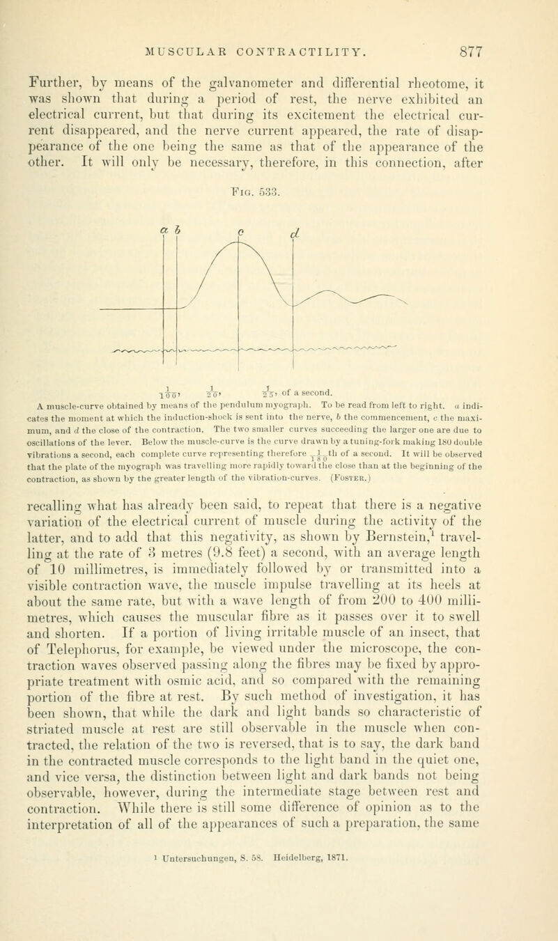 Further, by means of the galvanometer and differential rheotome, it was shown that during a period of rest, the nerve exhibited an electrical current, but that during its excitement the electrical cur- rent disappeared, and the nerve current appeared, the rate of disap- pearance of the one being the same as that of the appearance of the other. It will only be necessary, therefore, in this connection, after Fi(i. 533. a h I0(T' 27F» ?~5' °» a second. A muscle-curve obtained by means of the pendulum myograph. To be read from left to right, a indi- cates the moment at which the induction-shock is sent into the nerve, b the commencement, c the maxi- mum, and d the close of the contraction. The two smaller curves succeeding the larger one are due to oscillations of the lever. Below the muscle-curve is the curve drawn by a tuuing-foi k making ISO double vibrations a second, each complete curve representing therefore T|-^t of a secoutl- lf will be observed that the plate of the myograph was travelling mure rapidly toward the close than at the beginning of the contraction, as shown by the greater length of the vibration-curves. (Foster.) recalling what has already been said, to repeat that there is a negative variation of the electrical current of muscle during the activity of the latter, and to add that this negativity, as shown by Bernstein,1 travel- ling at the rate of 8 metres (9.8 feet) a second, with an average length of 10 millimetres, is immediately followed by or transmitted into a visible contraction wave, the muscle impulse travelling at its heels at about the same rate, but with a wave length of from 200 to 400 milli- metres, which causes the muscular fibre as it passes over it to swell and shorten. If a portion of living irritable muscle of an insect, that of Telephorus, for example, be viewed under the microscope, the con- traction waves observed passing along the fibres may be fixed by appro- priate treatment with osmic acid, and so compared with the remaining portion of the fibre at rest. By such method of investigation, it has been shown, that while the dark and light bands so characteristic of striated muscle at rest are still observable in the muscle when con- tracted, the relation of the two is reversed, that is to say, the dark band in the contracted muscle corresponds t<> the light band in the quiet one, and vice versa, the distinction between light and dark bands not being observable, however, during the intermediate stage between rest and contraction. While there is still some difference of opinion as to the interpretation of all of the appearances of such a preparation, the same i Untersuchungen, S. 58. Heidelberg, 1871.